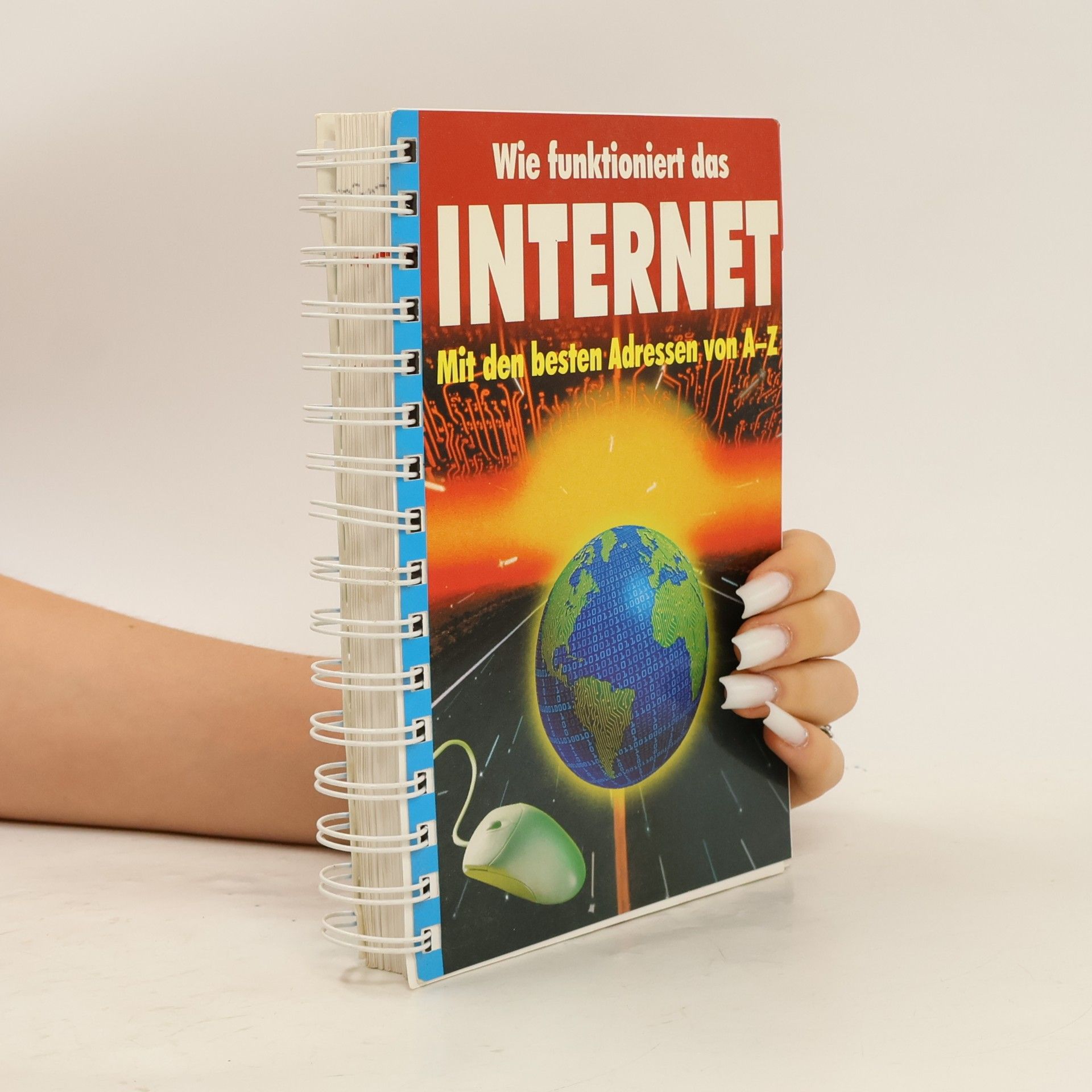 Kolektiv autorů Wie funktioniert das Internet?