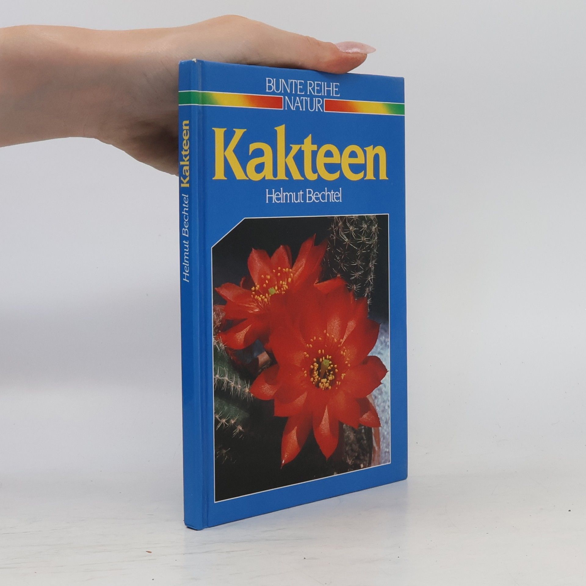 Kakteen