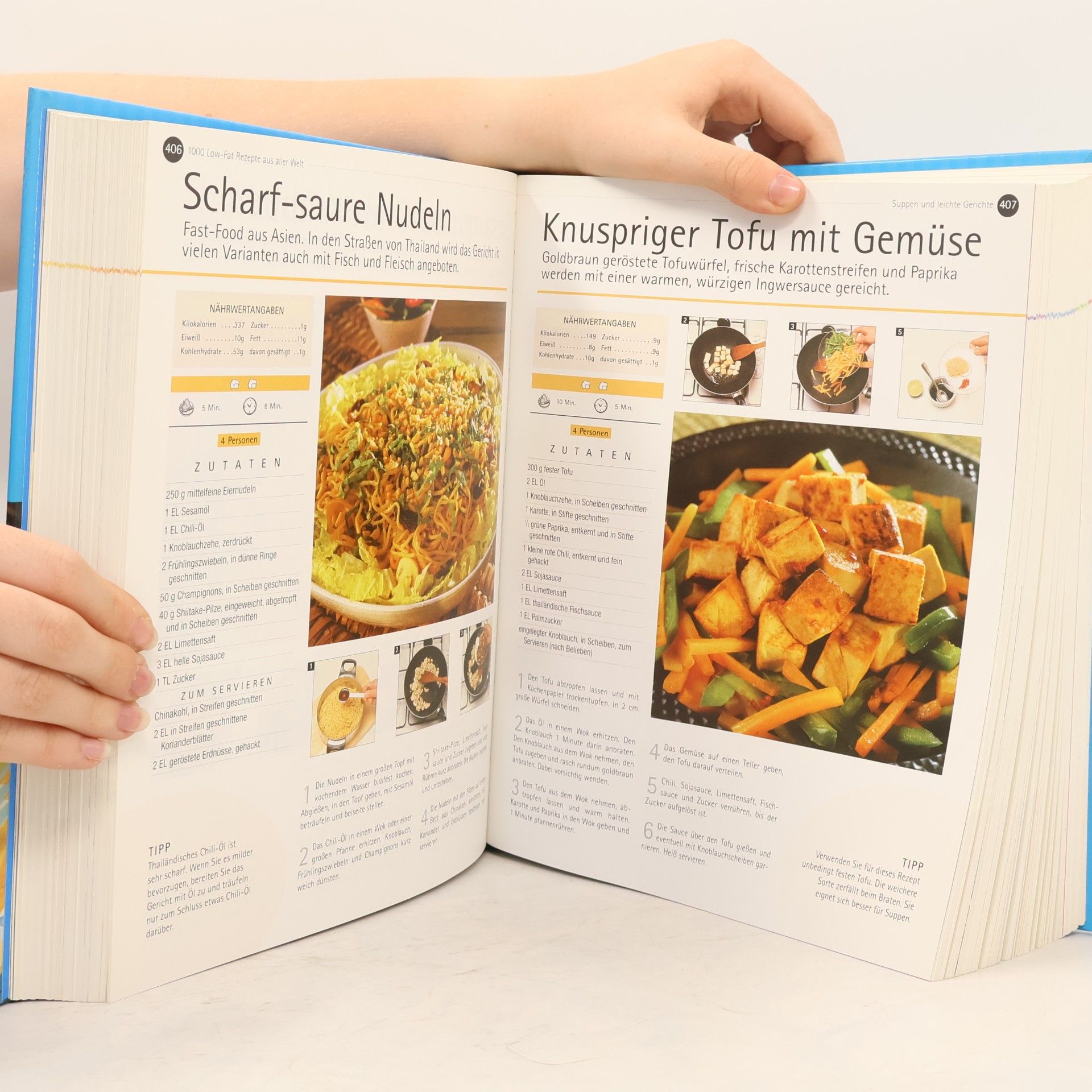 Autorenkollektiv 1000 Low Fat Rezepte
