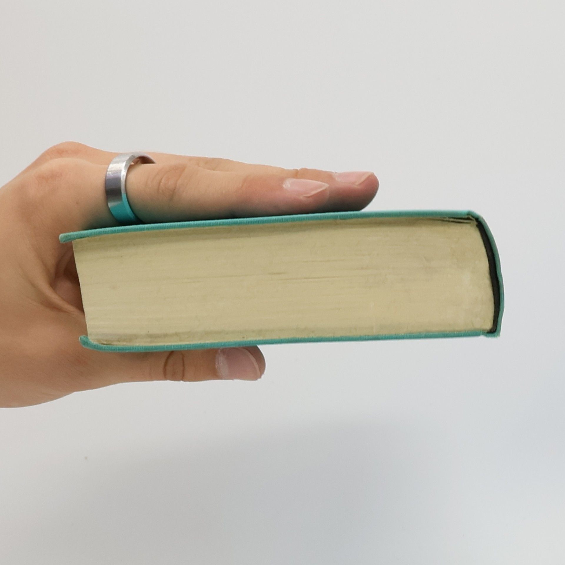 Harper Lee Wer die Nachtigall stört