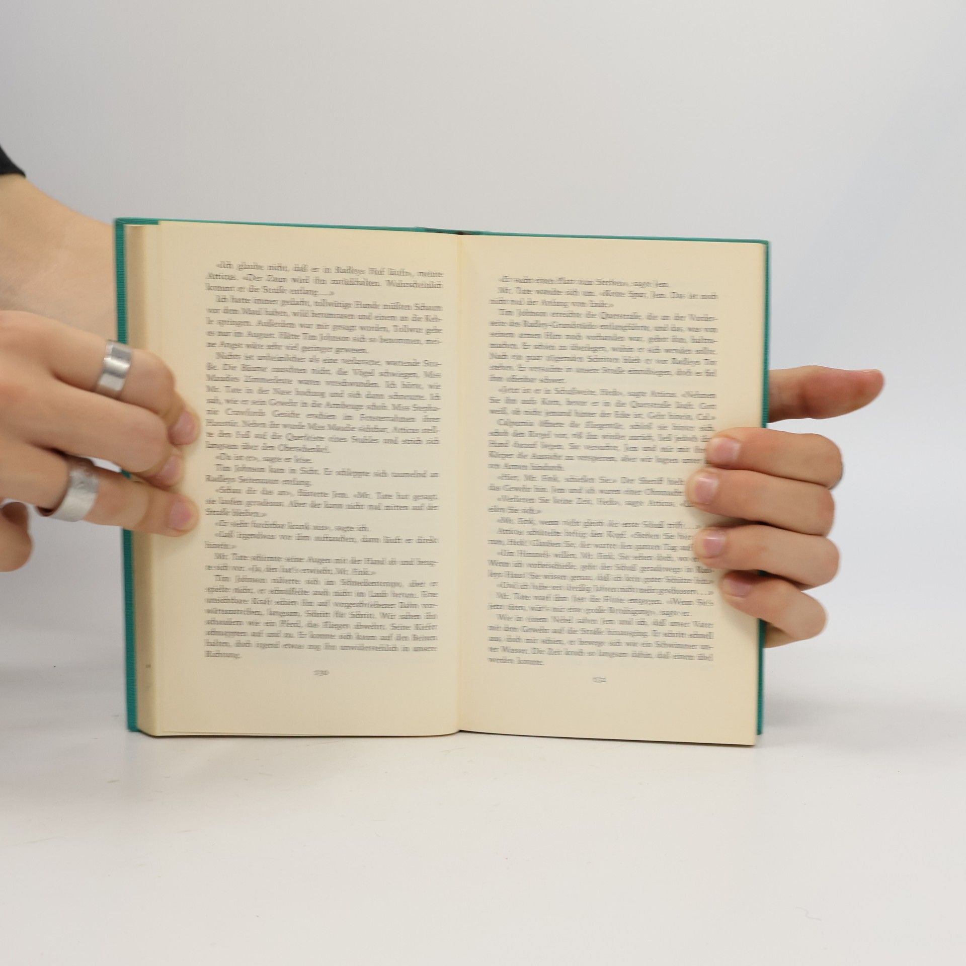 Harper Lee Wer die Nachtigall stört