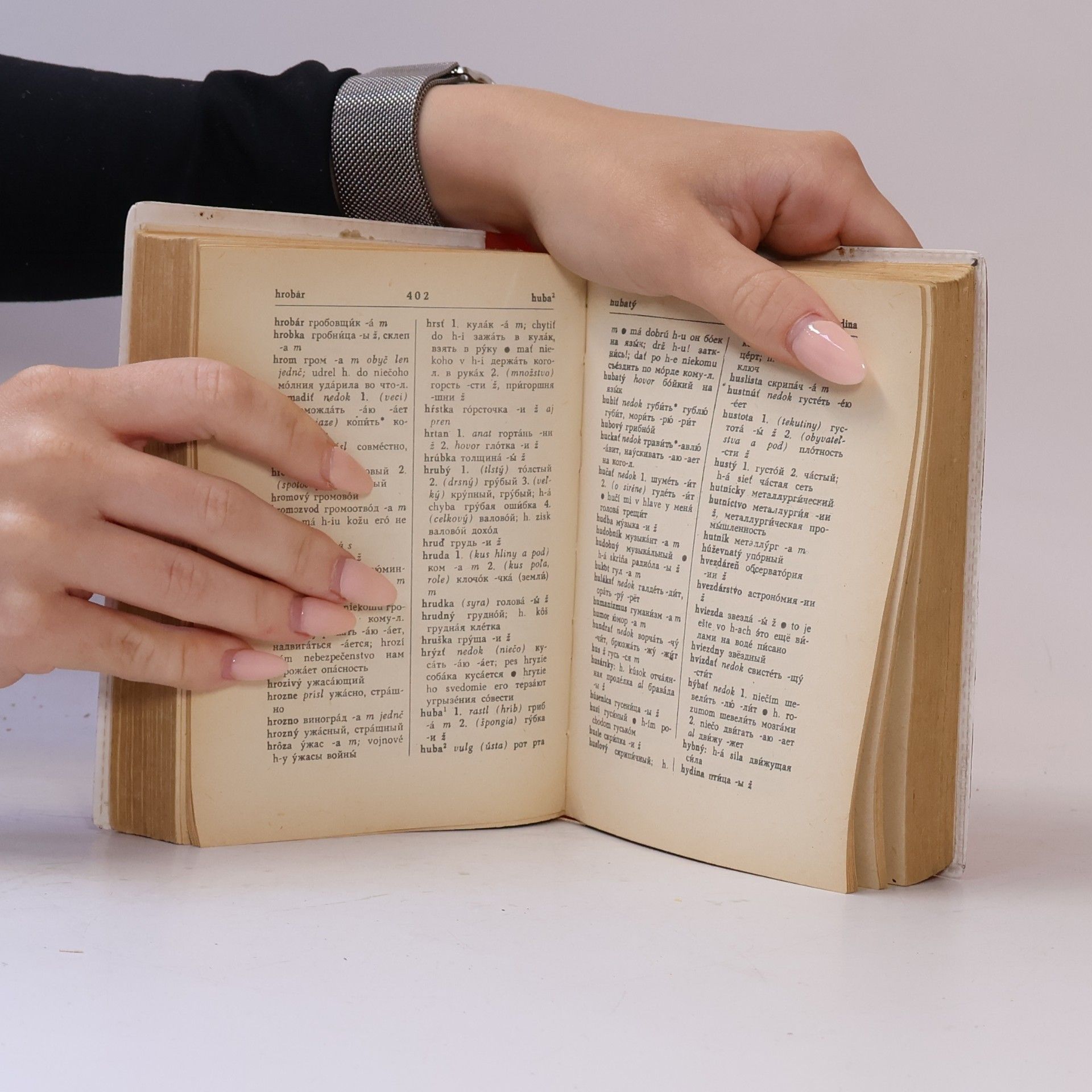 Autorenkollektiv Rusko-slovenský/Slovensko-ruský vreckový slovník