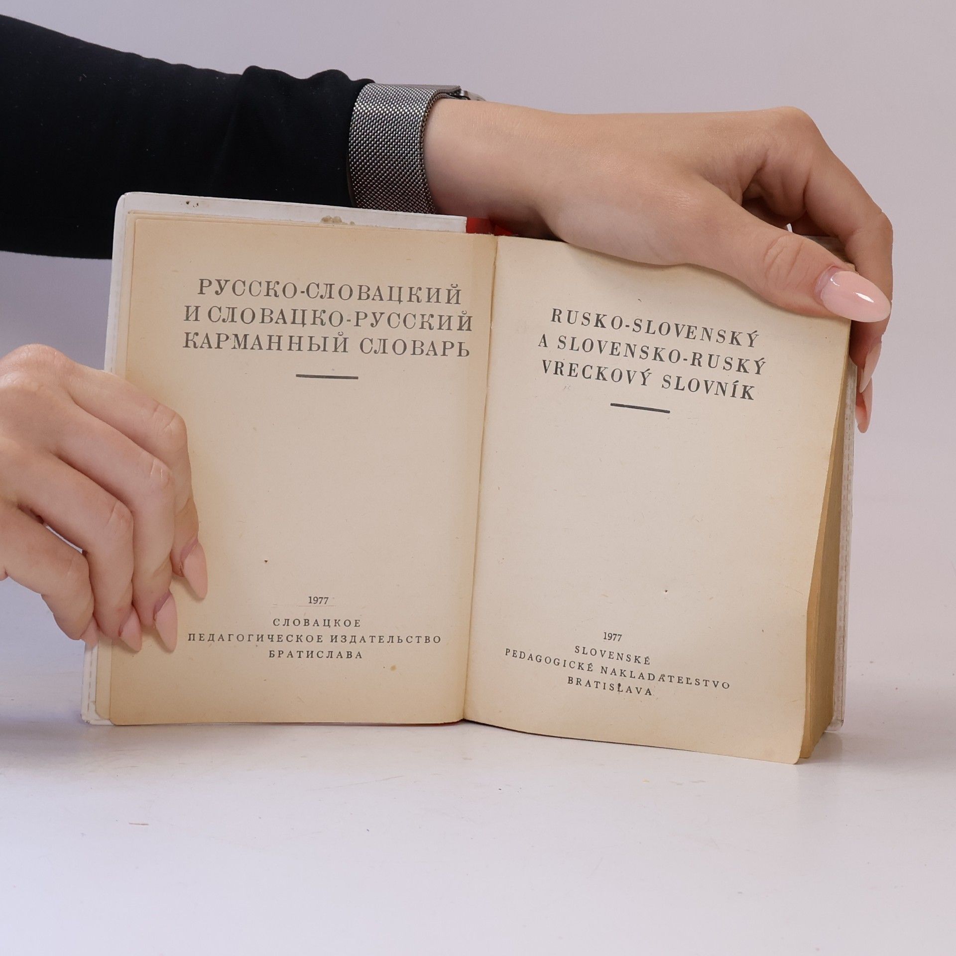 Autorenkollektiv Rusko-slovenský/Slovensko-ruský vreckový slovník