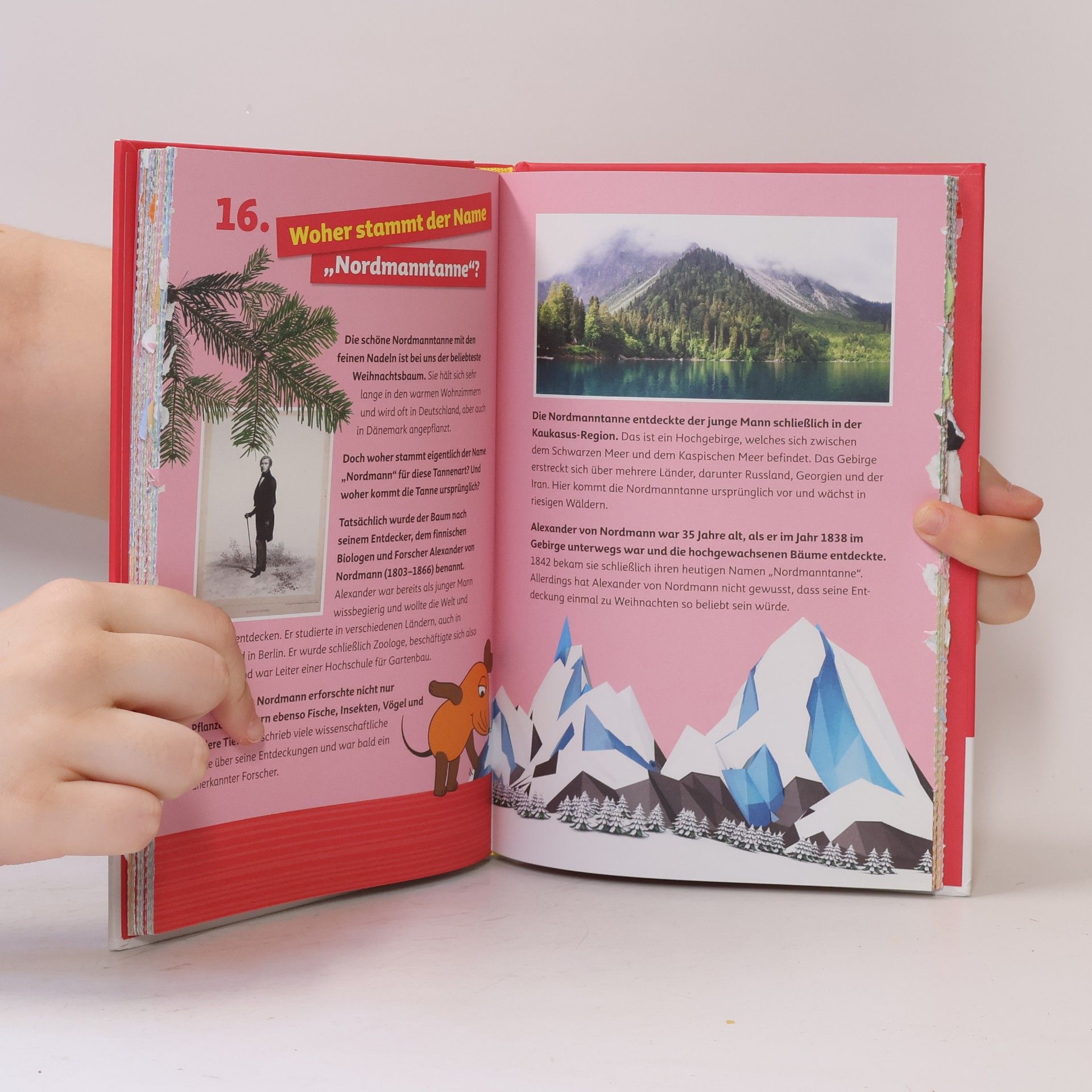 Lappan Lappan Verlag Frag doch mal die Maus - Der Adventskalender 2023