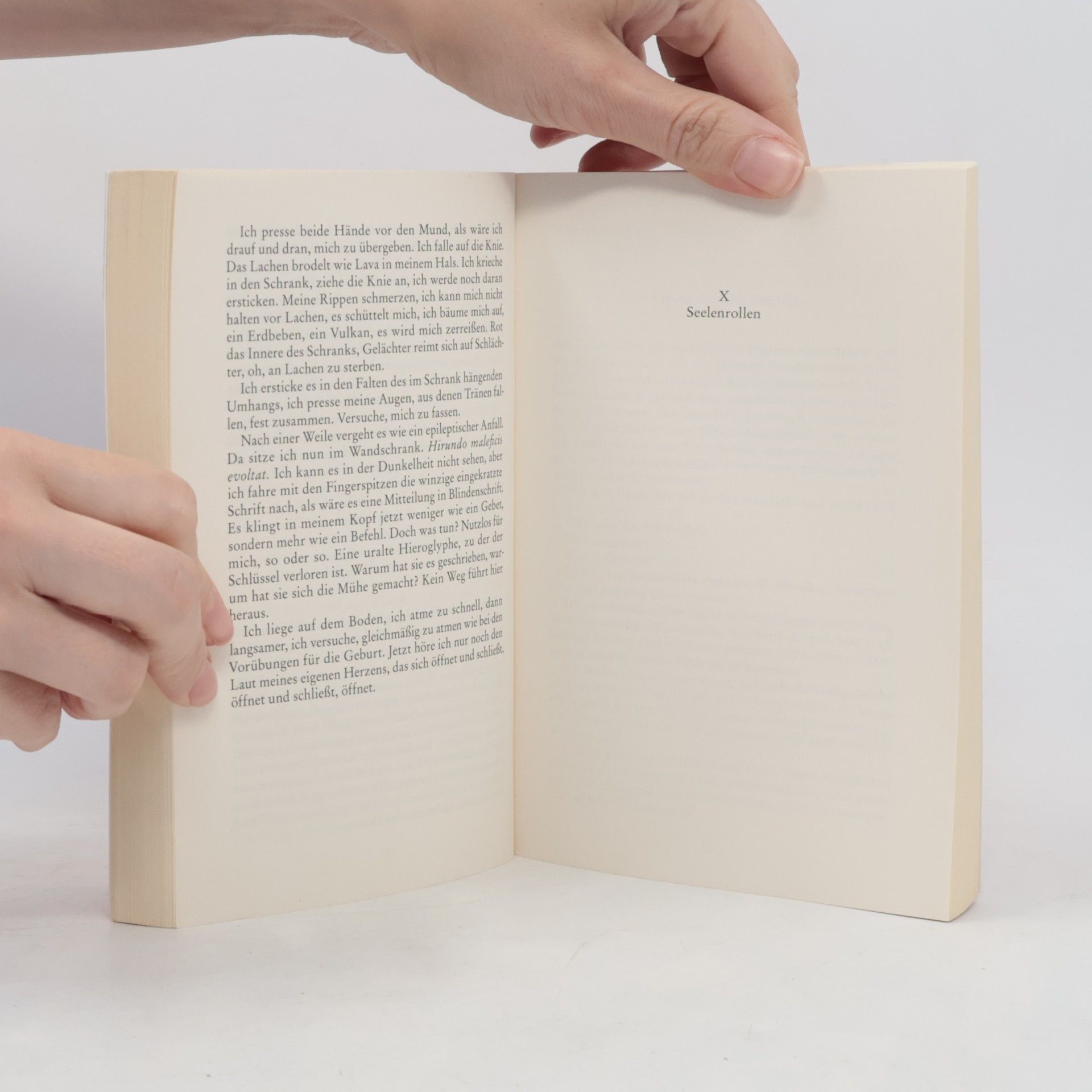 Margaret Atwood Der Report der Magd