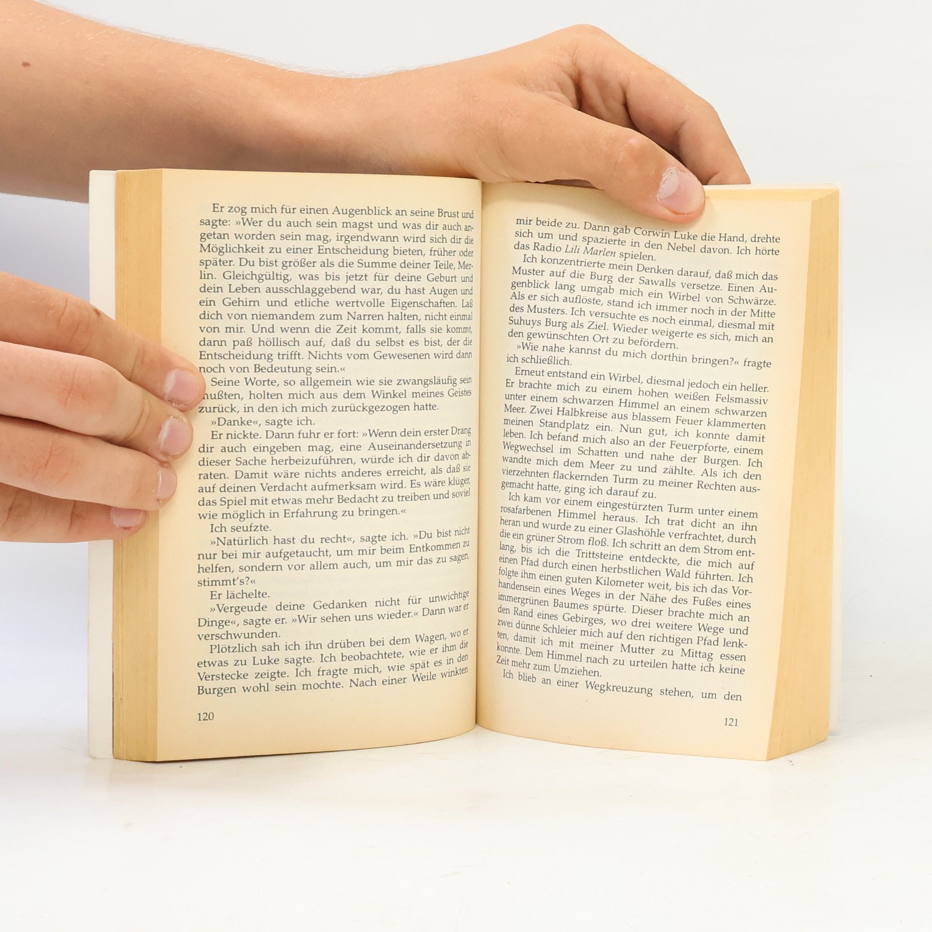 Roger Zelazny Prinz des Chaos. 10. Roman des AMBER- Zyklus.