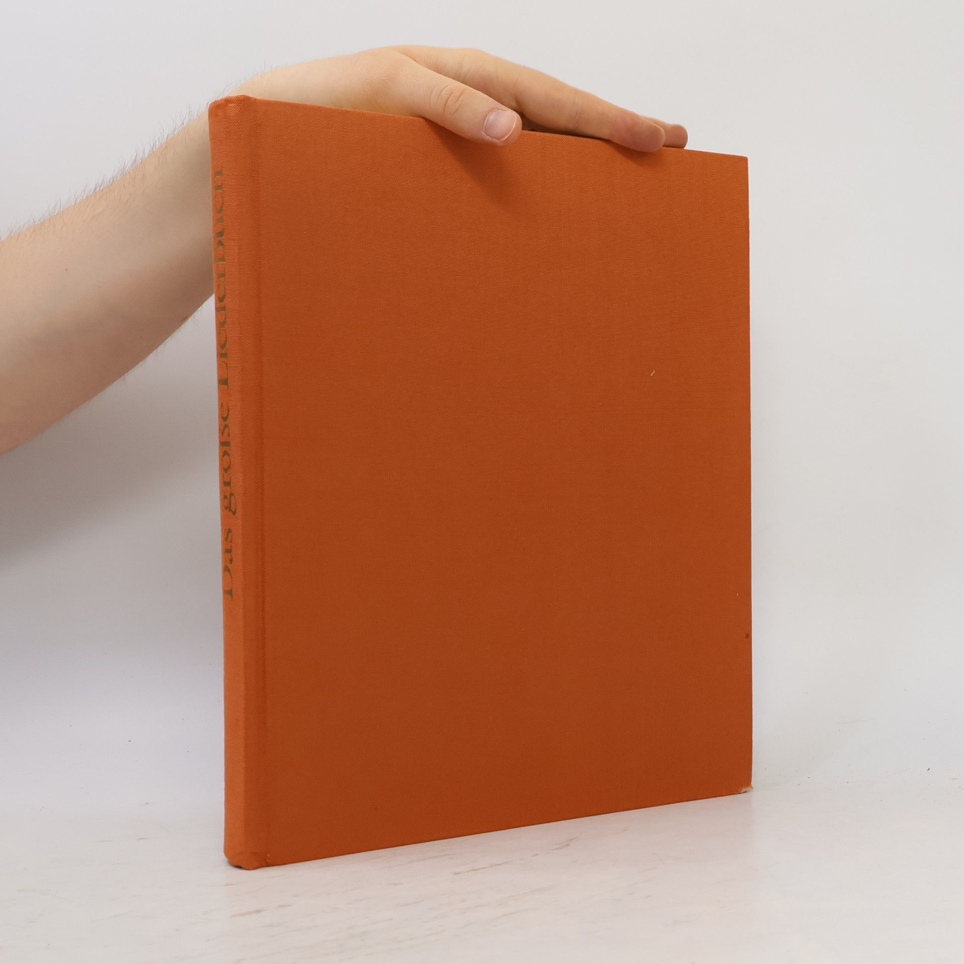 Autorenkollektiv Das grosse Liederbuch