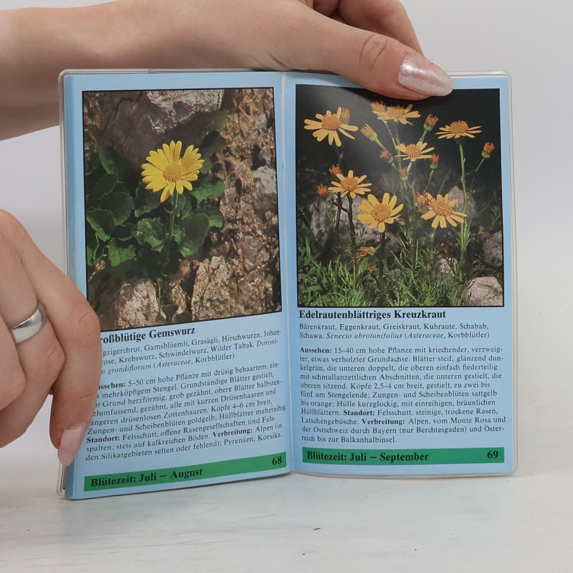 Kolektiv autorů Lipperts Alpenblumen Kompaß 1