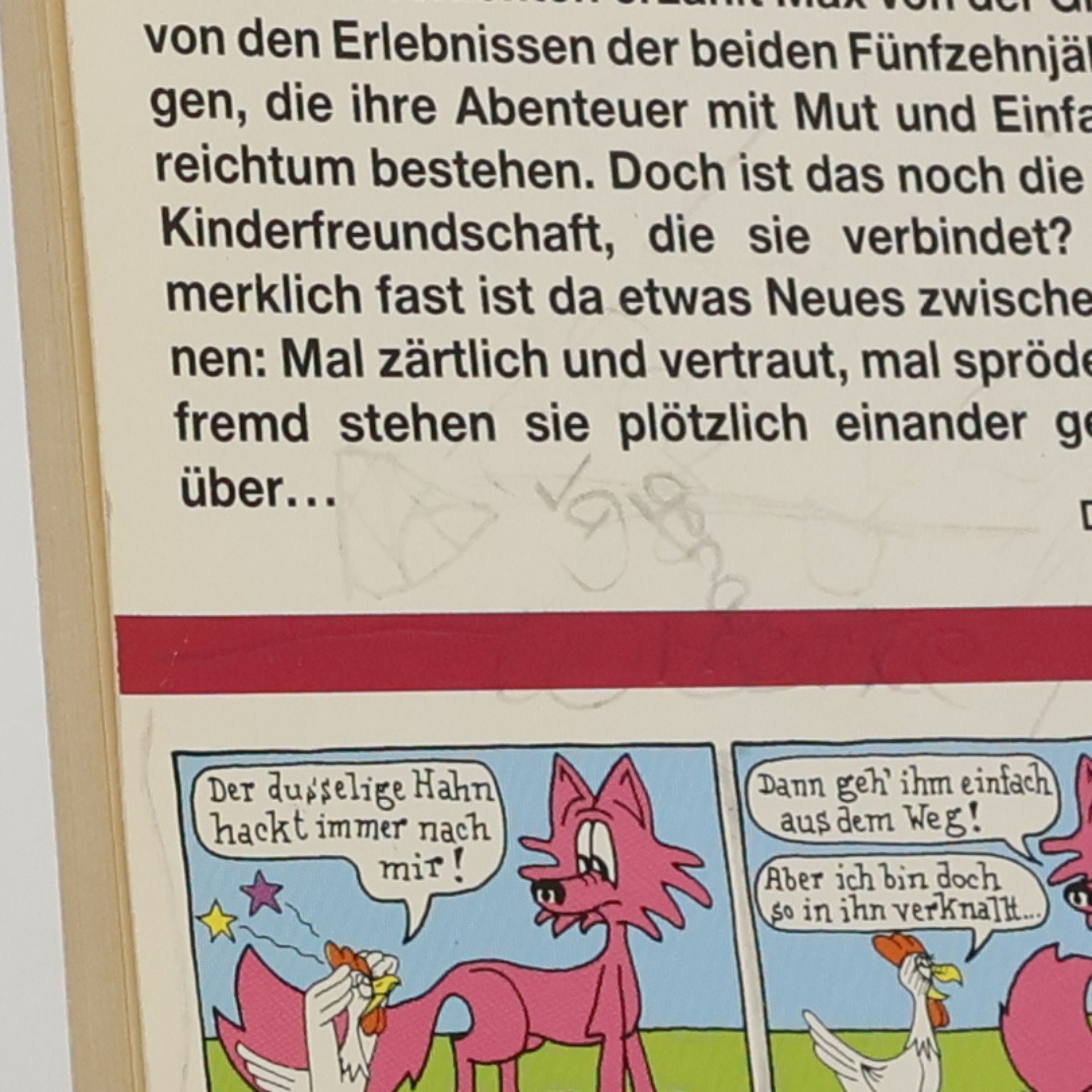 Max von der Grün Friedrich und Friederike oder ist das schon die Liebe?
