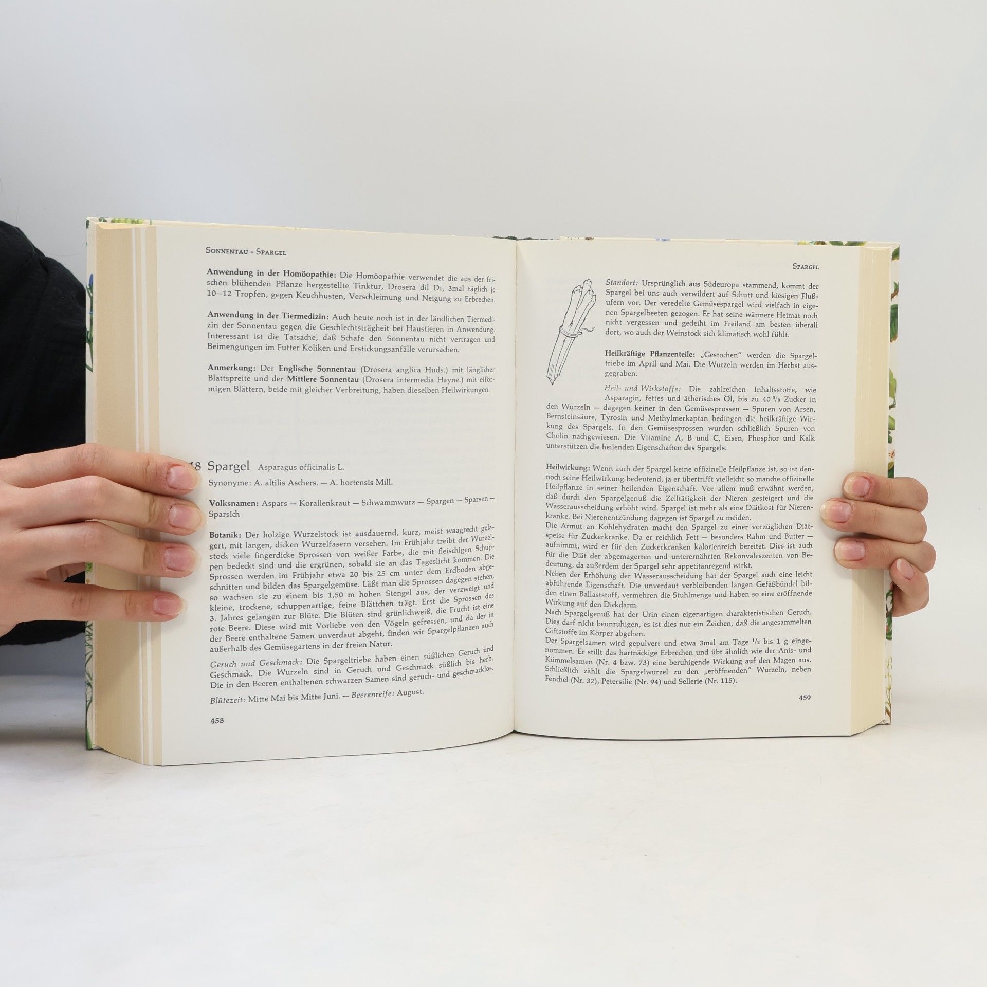 Richard Willfort Das grosse Handbuch der Heilkräuter