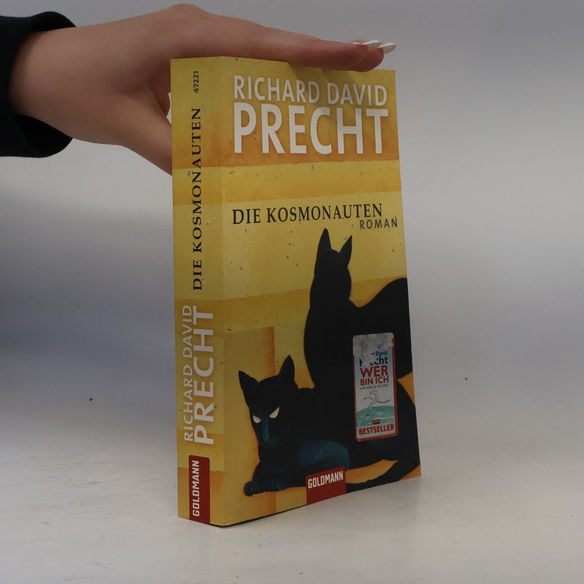 Richard David Precht Die Kosmonauten