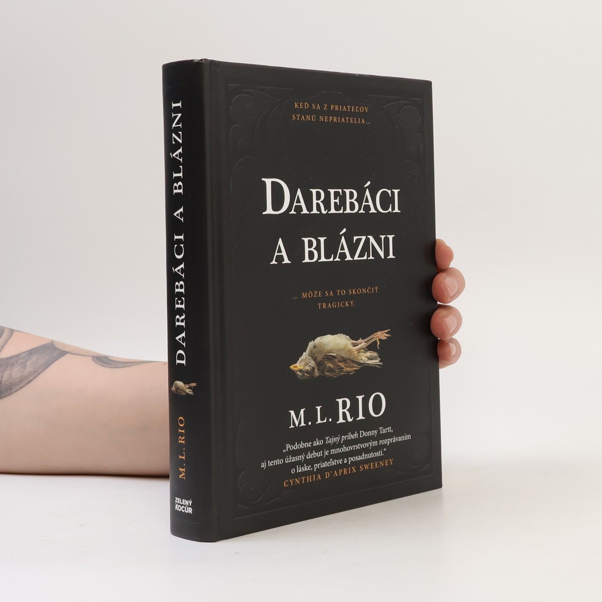 M. L. Rio Darebáci a blázni