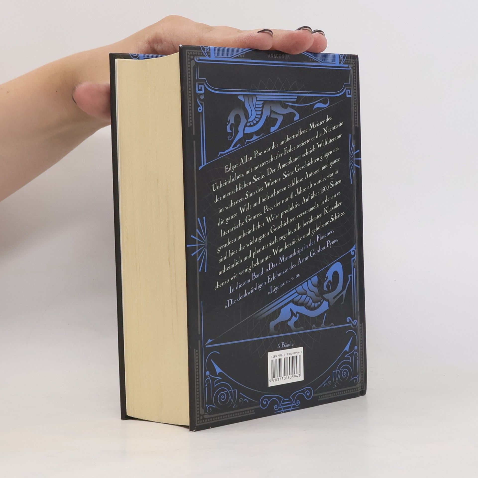 Edgar Allan Poe Unheimliche und phantastische Geschichten 1