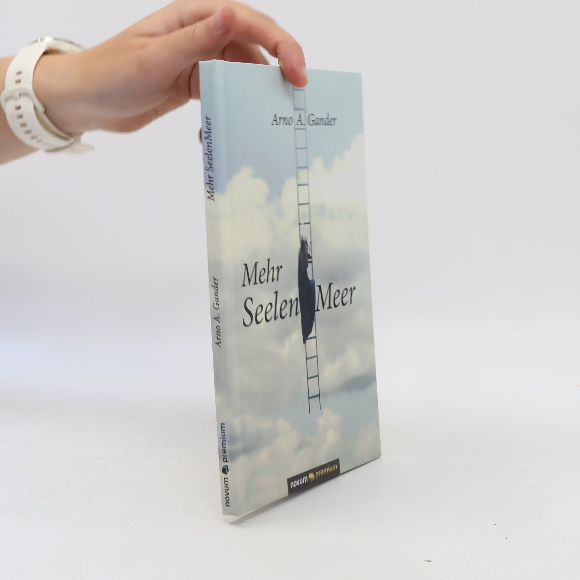 Arno A. Gander Mehr SeelenMeer