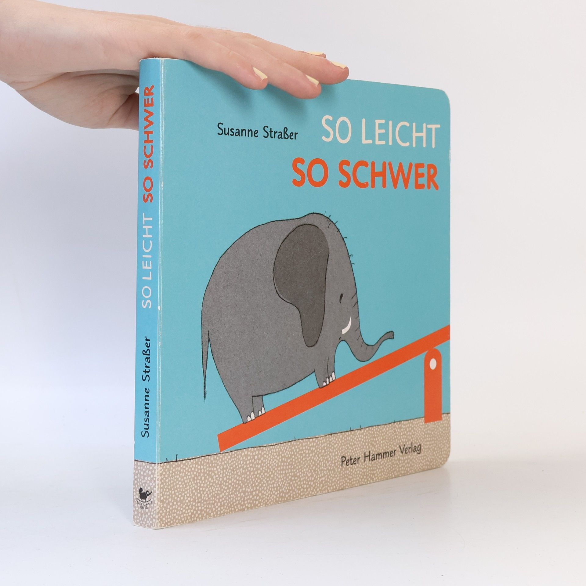 Susanne Straßer So leicht - so schwer
