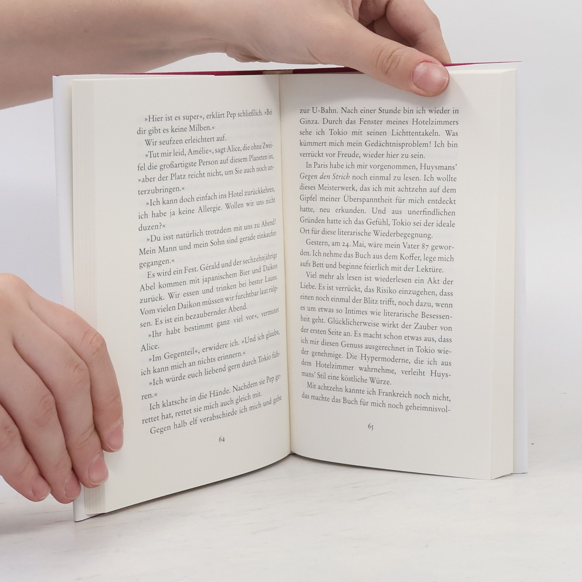 Amélie Nothomb Die unmögliche Rückkehr