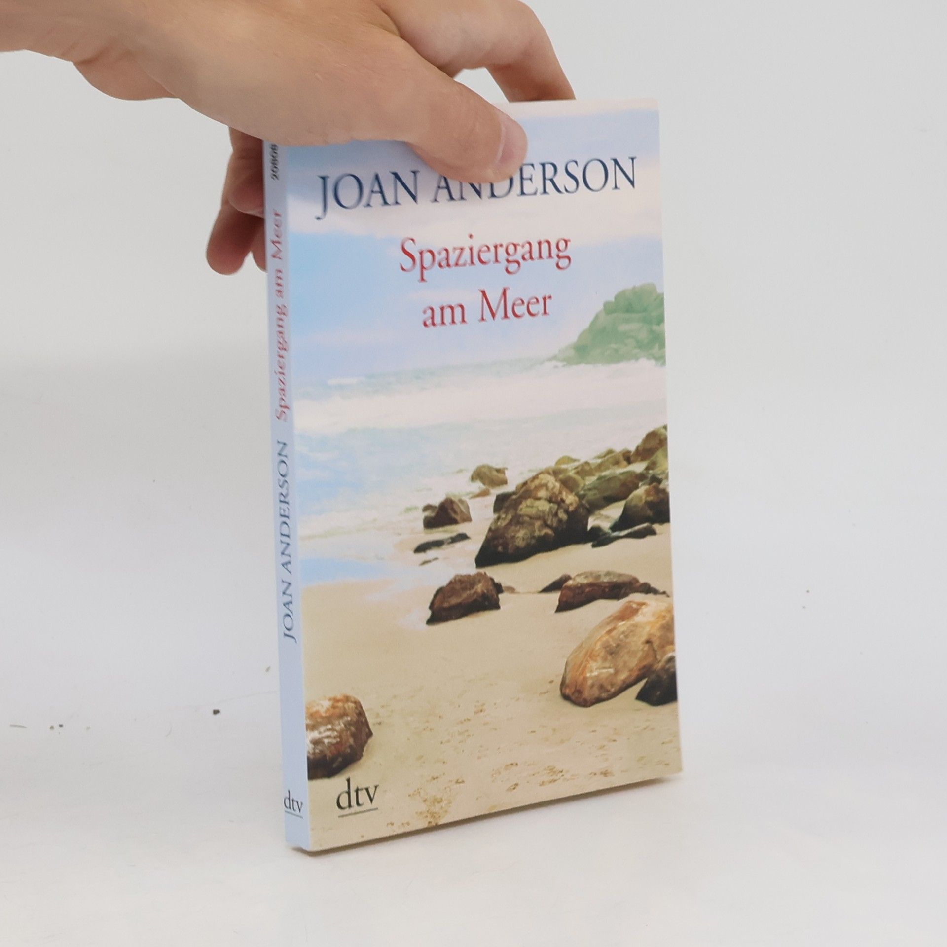 Joan Wester Anderson Spaziergang am Meer