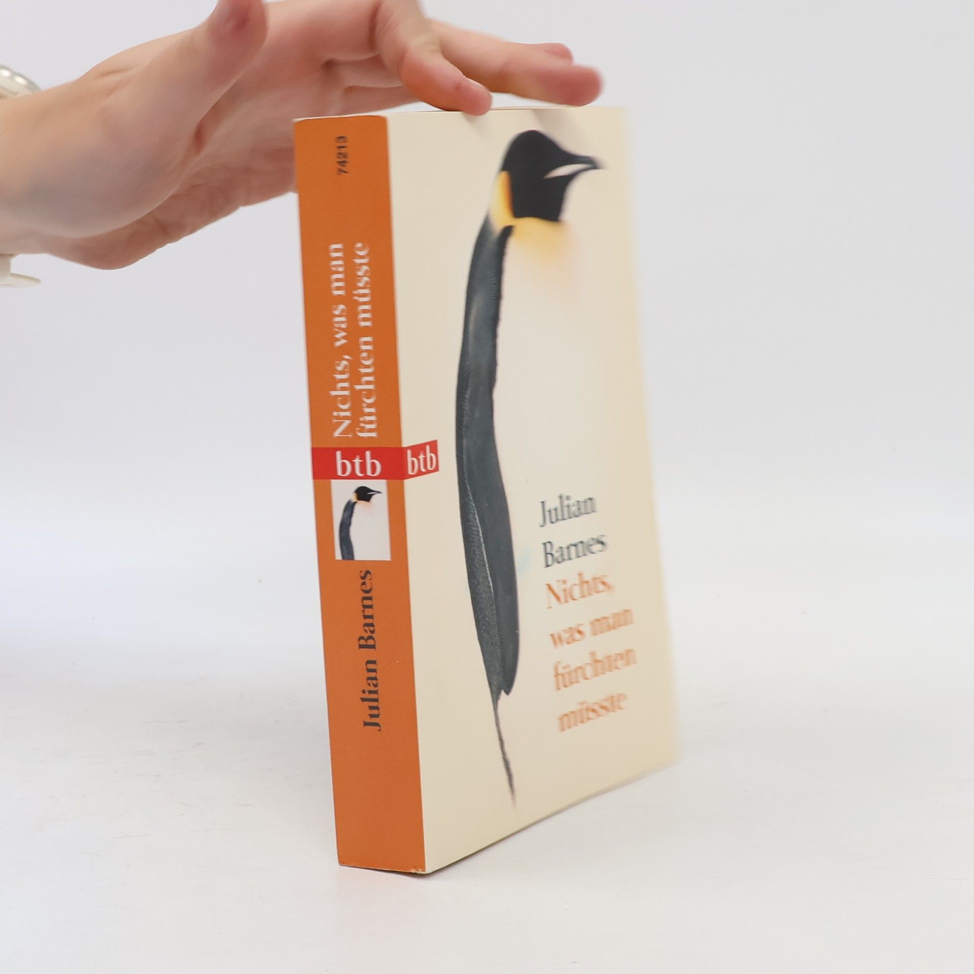 Julian Barnes Nichts, was man fürchten müsste