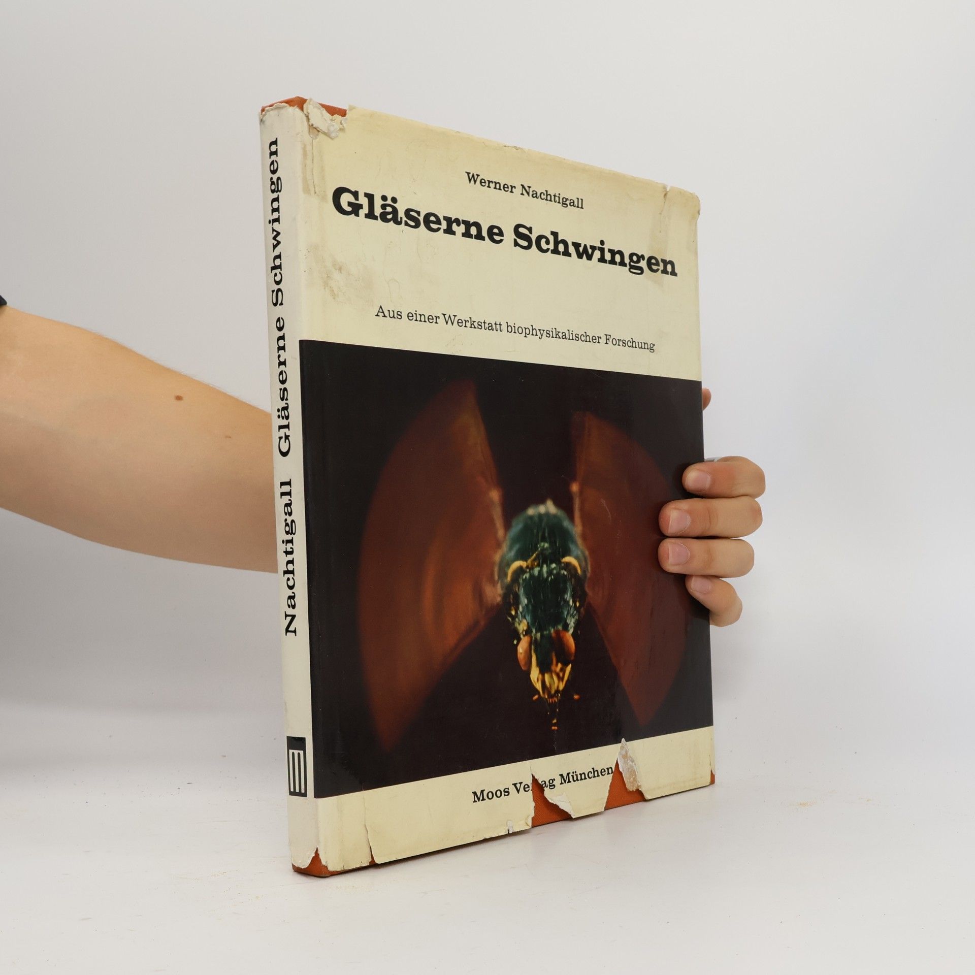 Werner Nachtigall Gläserne Schwingen