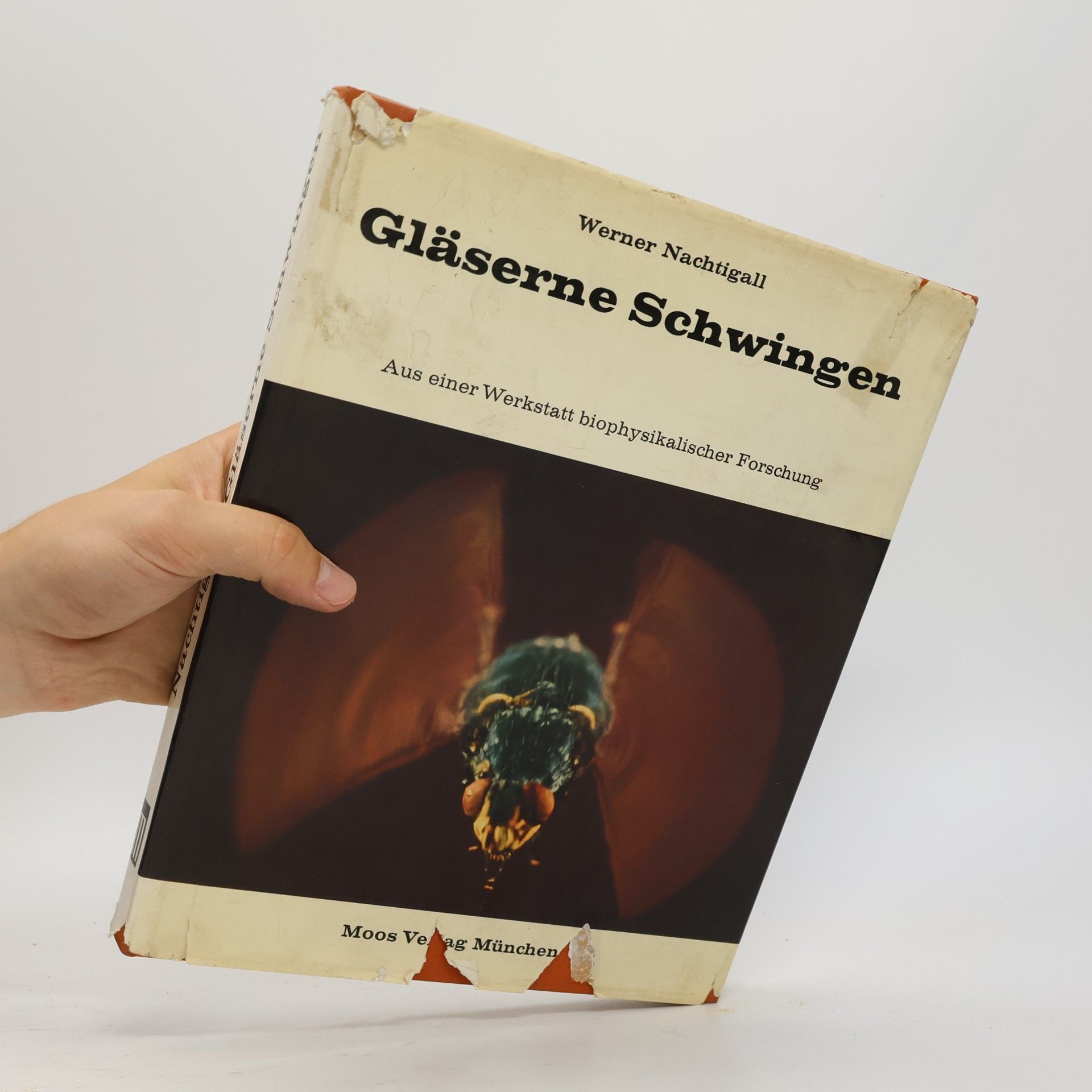 Werner Nachtigall Gläserne Schwingen