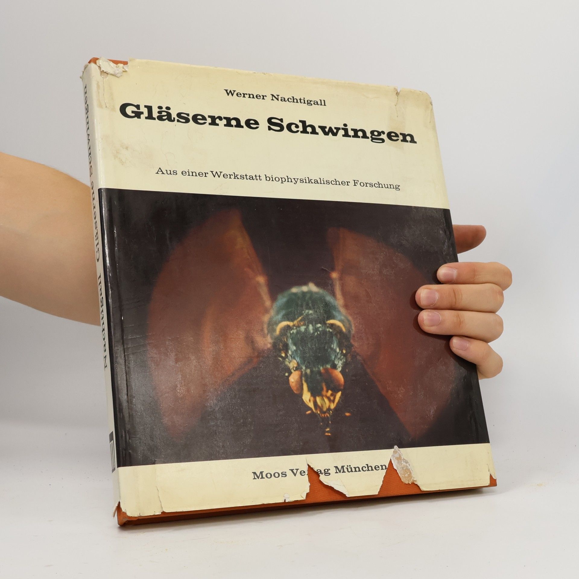 Werner Nachtigall Gläserne Schwingen