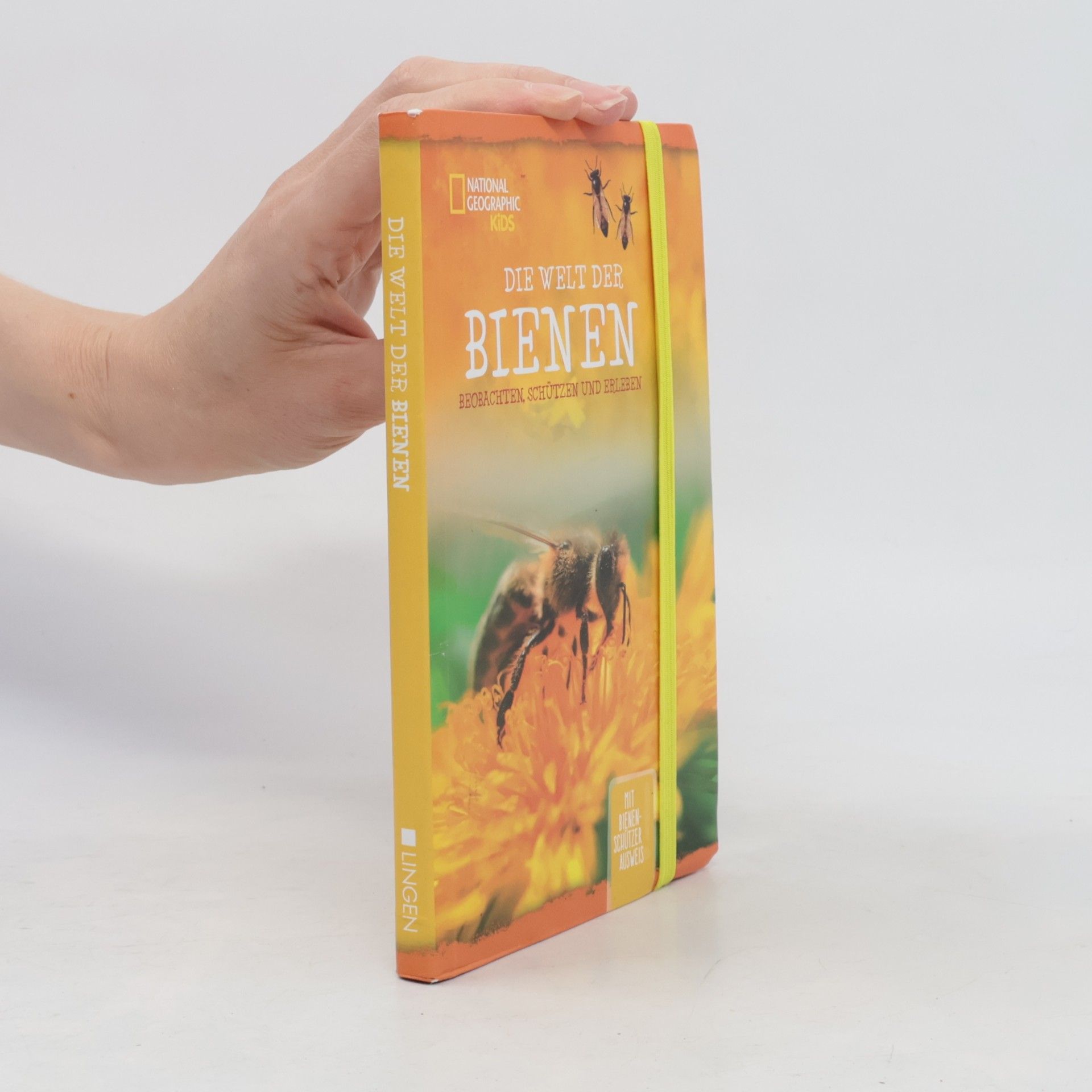 Autorenkollektiv Die Welt der Bienen Beobachten, Schützen und Erleben