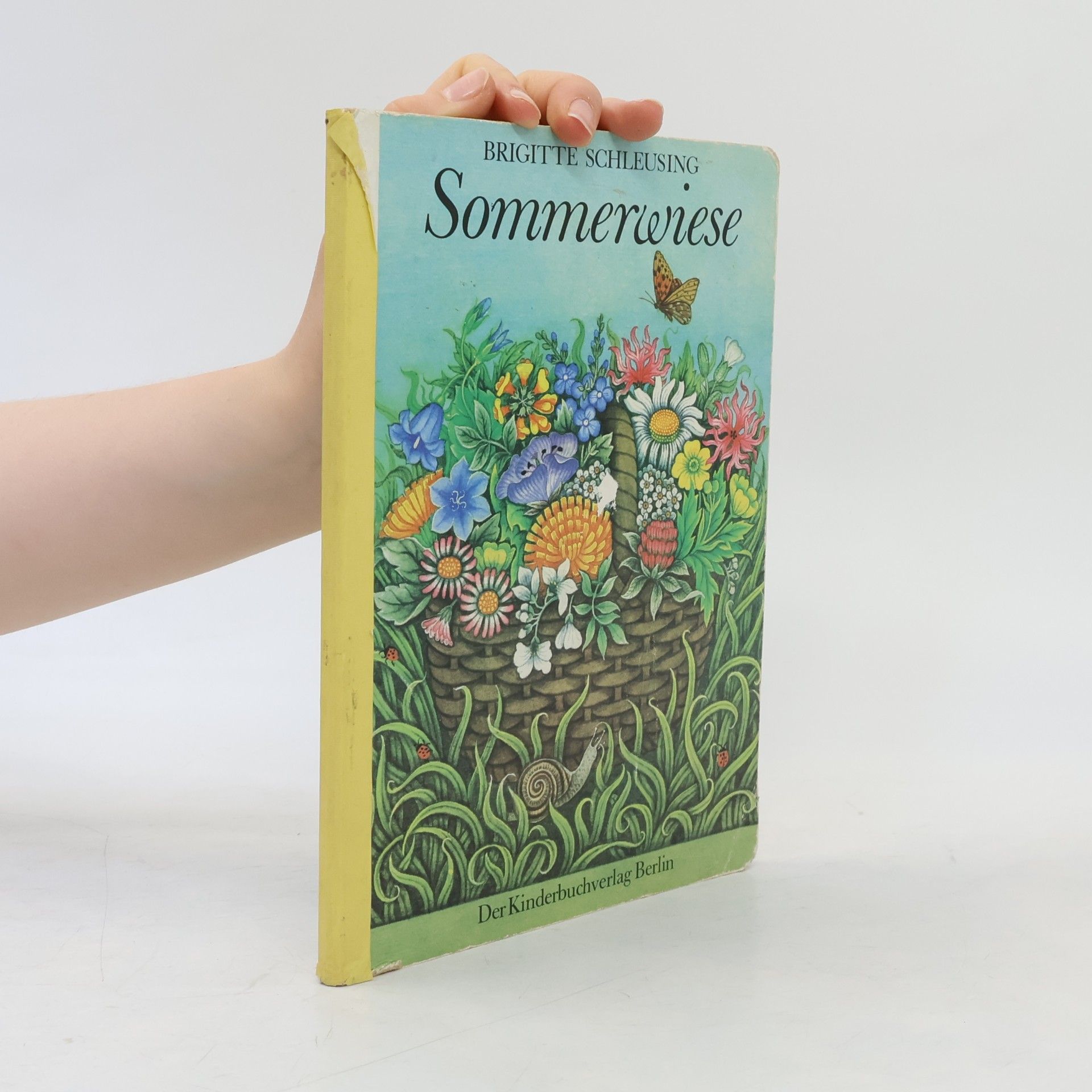 Brigitte Schleusing Sommerwiese