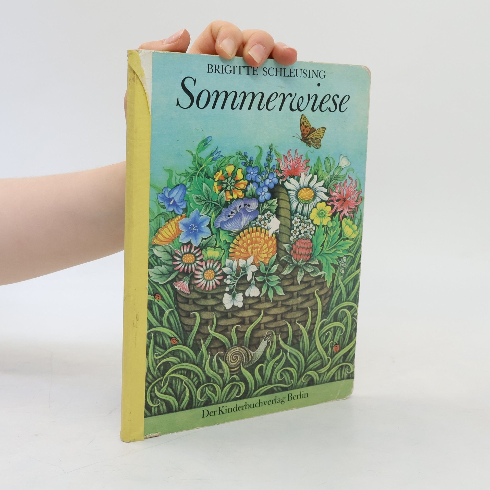 Brigitte Schleusing Sommerwiese
