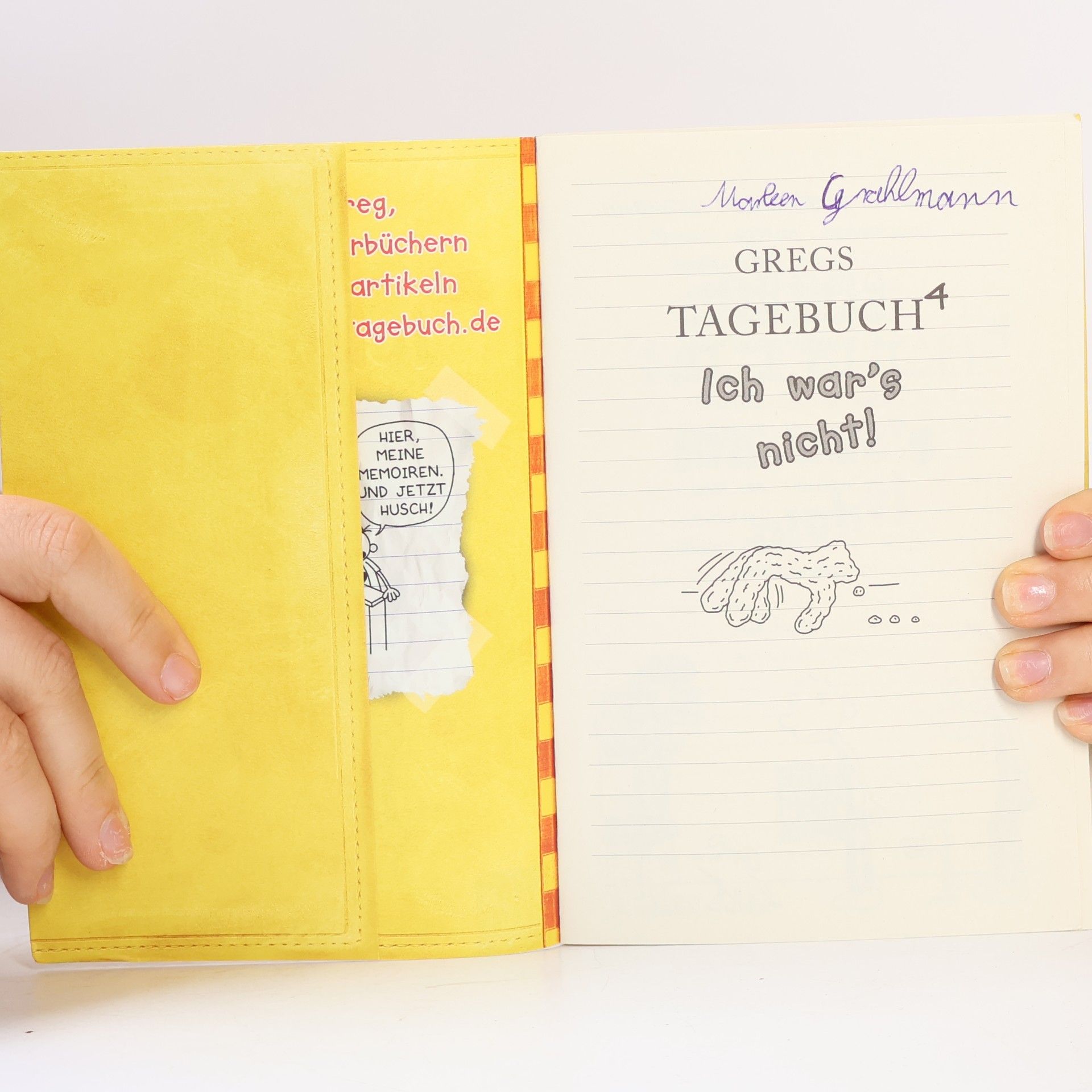 Jeff Kinney Gregs Tagebuch 4 - Ich war's nicht!