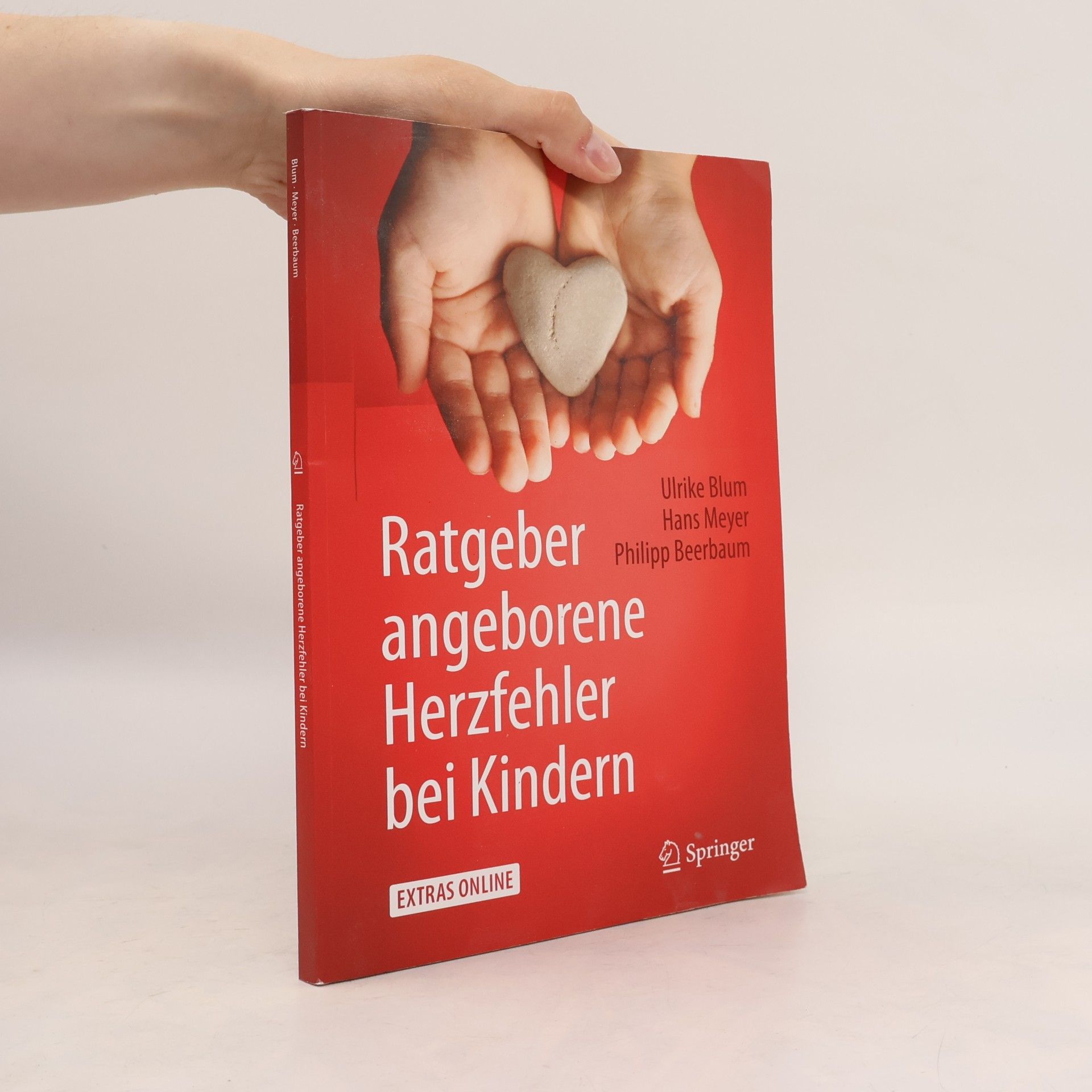 Philipp Beerbaum Ratgeber angeborene Herzfehler bei Kindern
