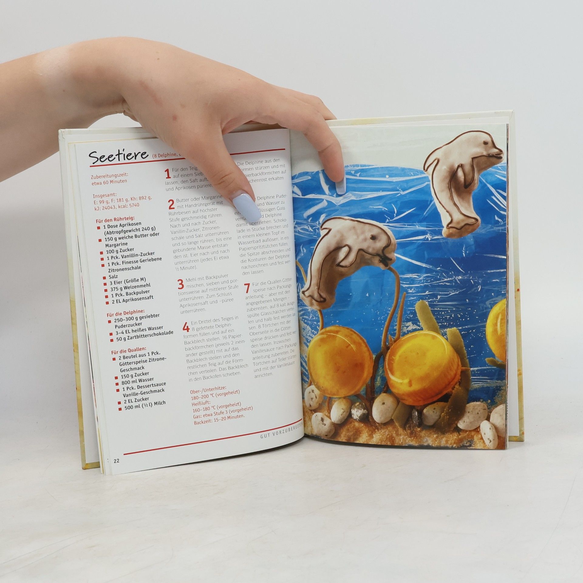 Autorenkollektiv Wir backen einen Zoo