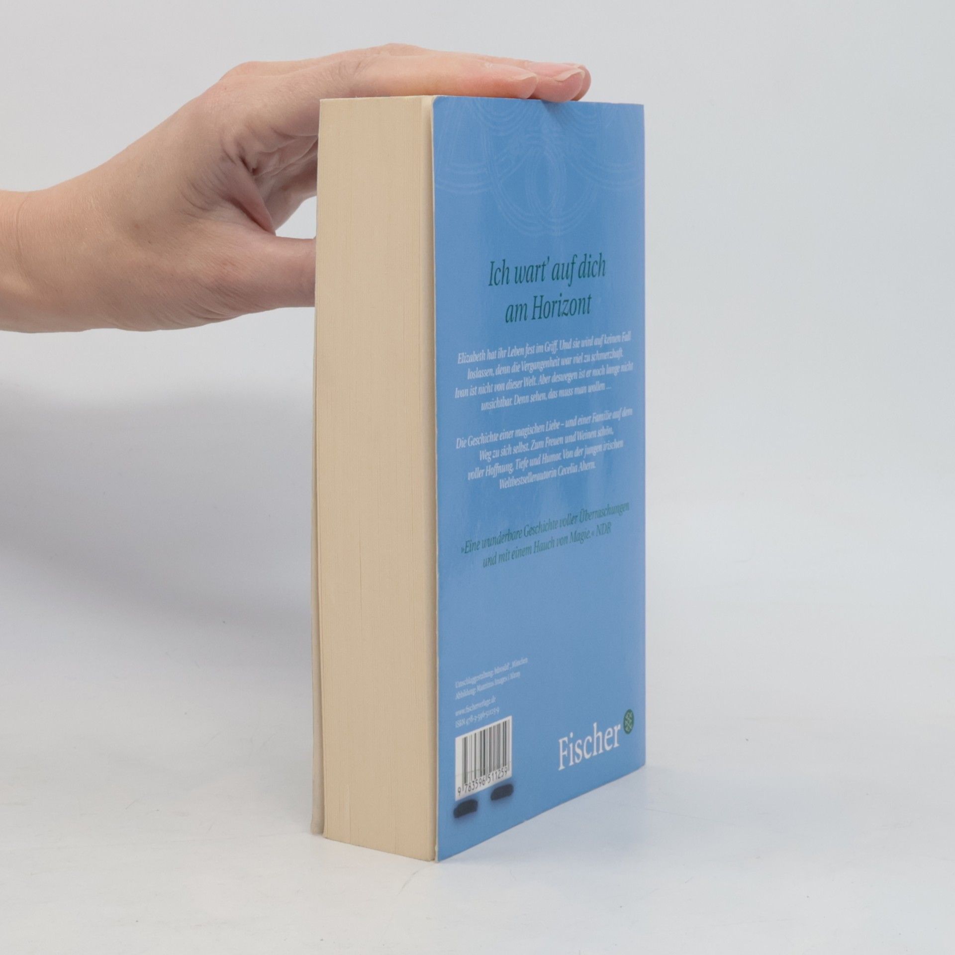 Cecelia Ahern Zwischen Himmel und Liebe