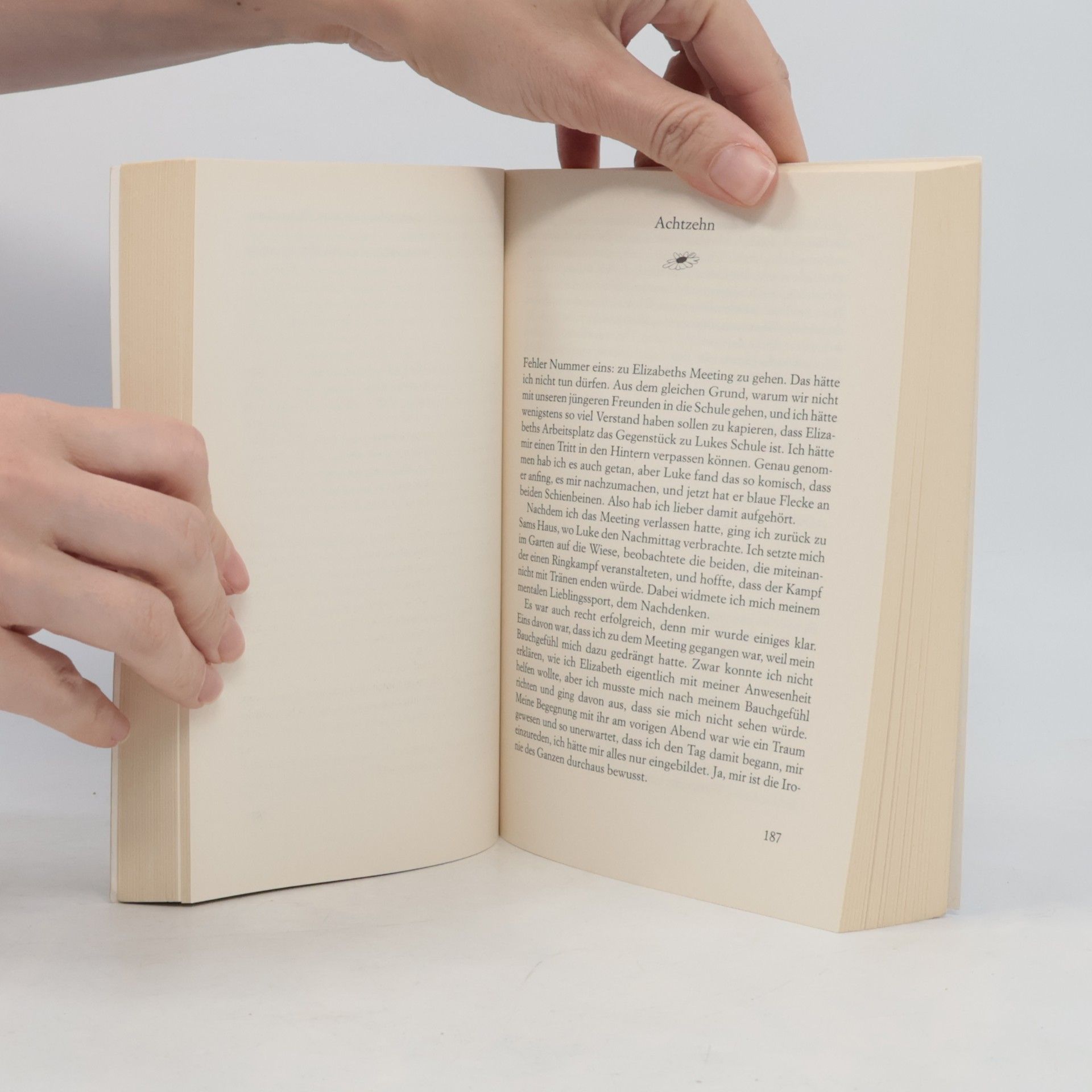 Cecelia Ahern Zwischen Himmel und Liebe
