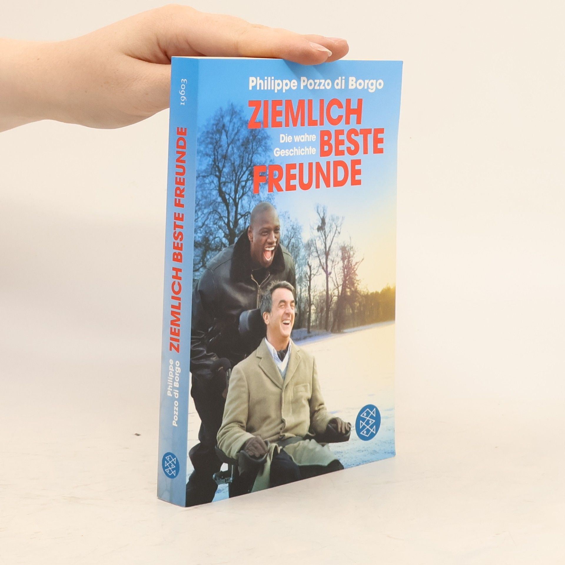 Philippe Pozzo Di Borgo Ziemlich beste Freunde