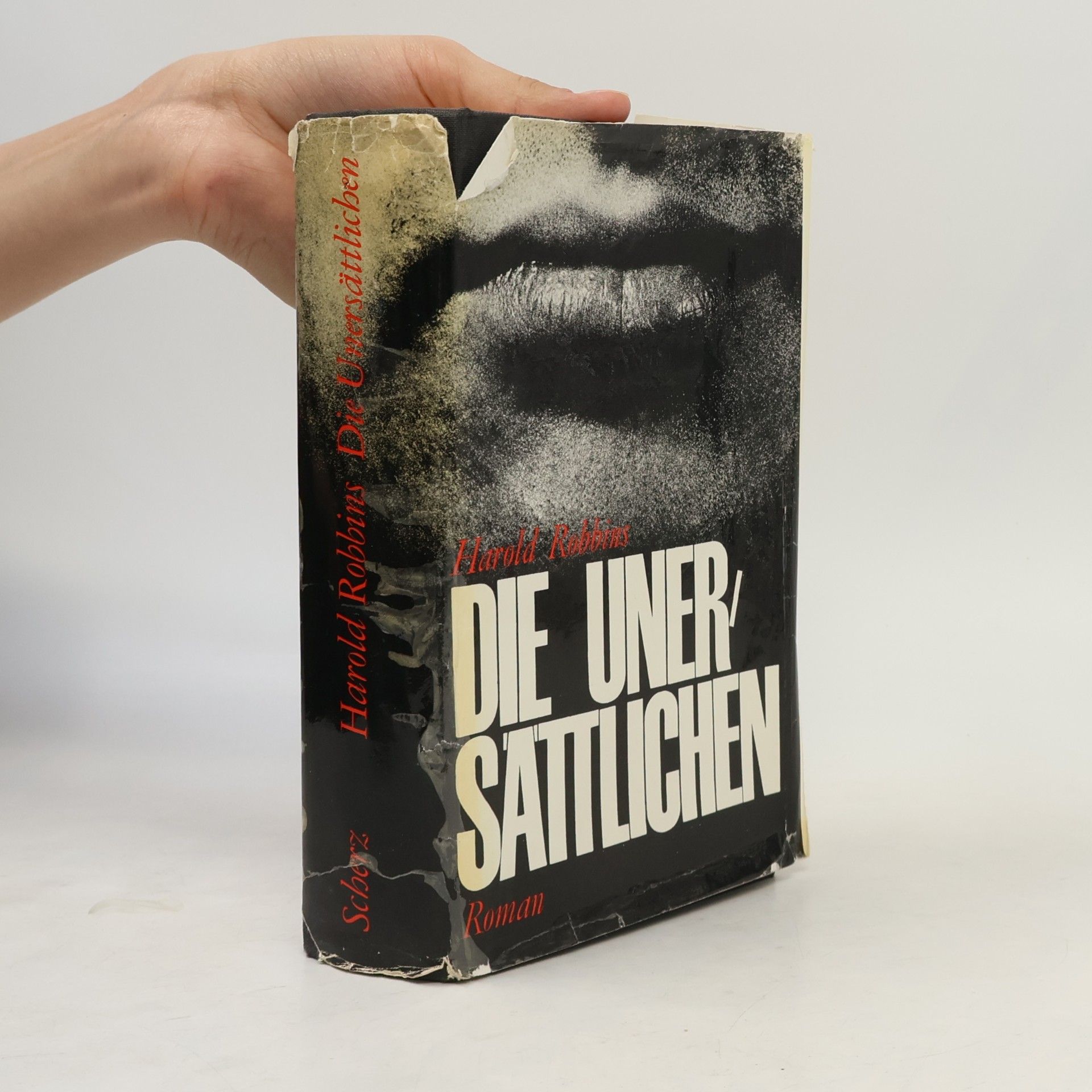 Harold Robbins Die Unersättlichen