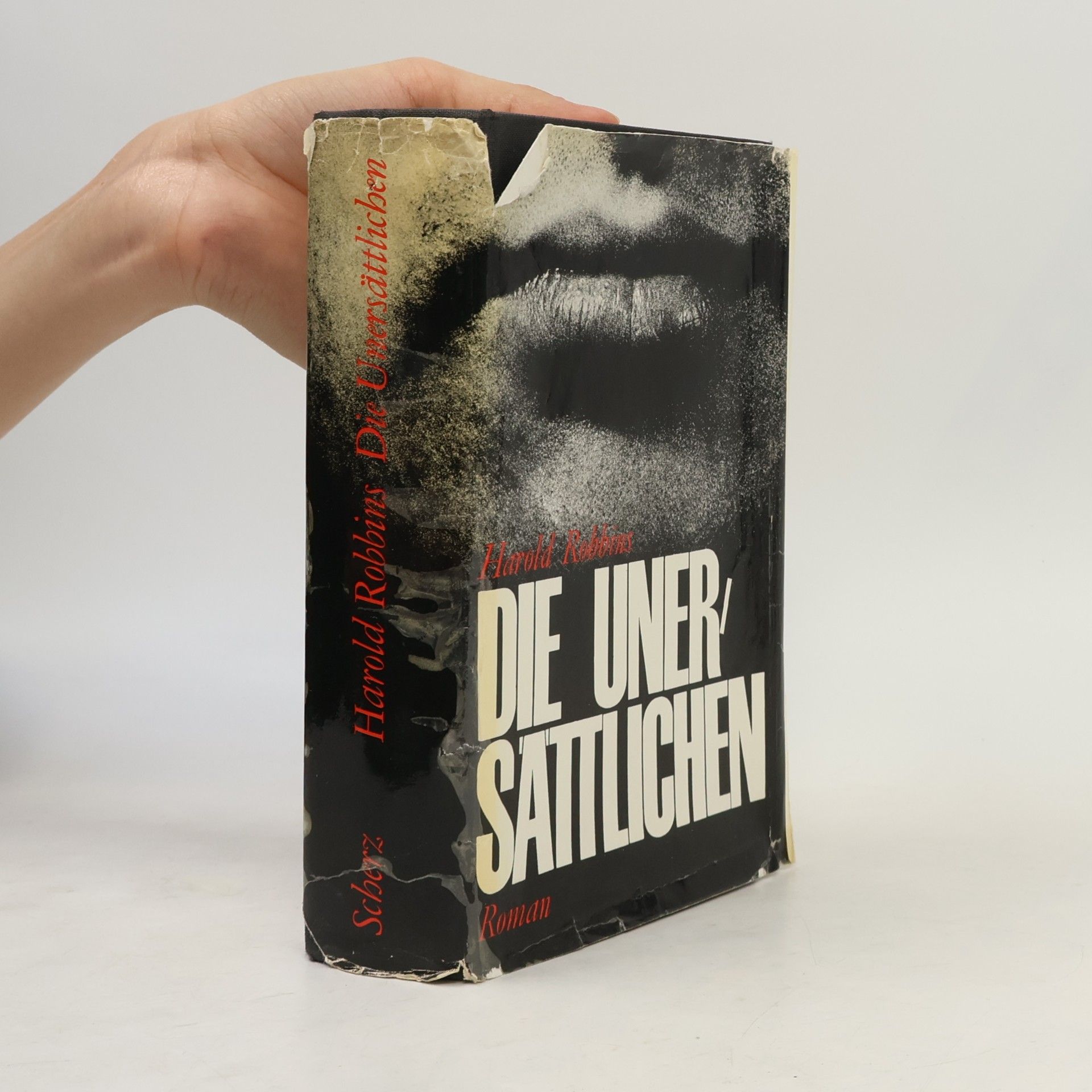 Harold Robbins Die Unersättlichen