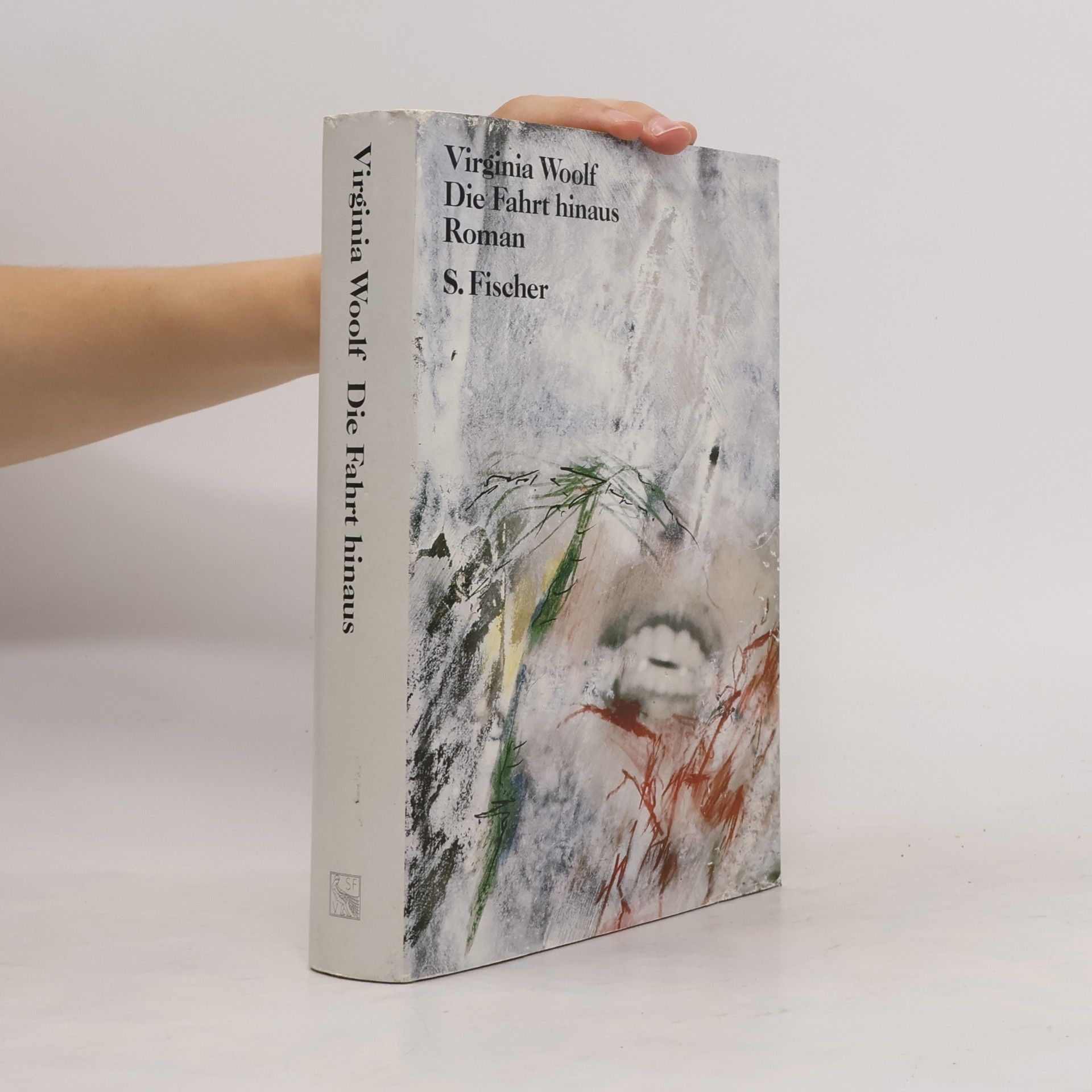 Virginia Woolf Die Fahrt hinaus