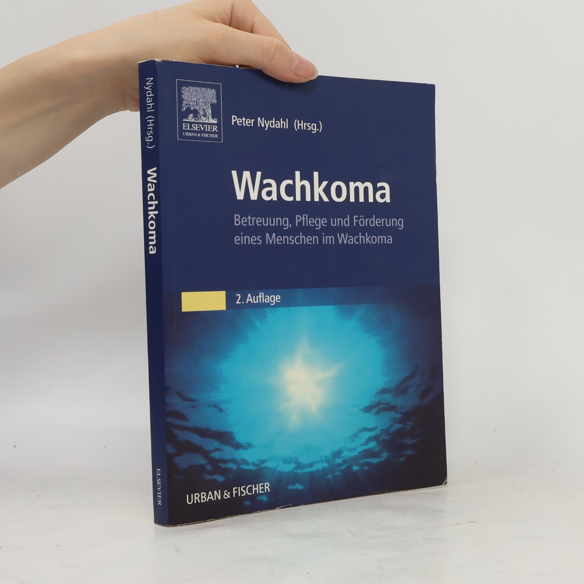 Peter Nydahl Wachkoma - 2. Auflage