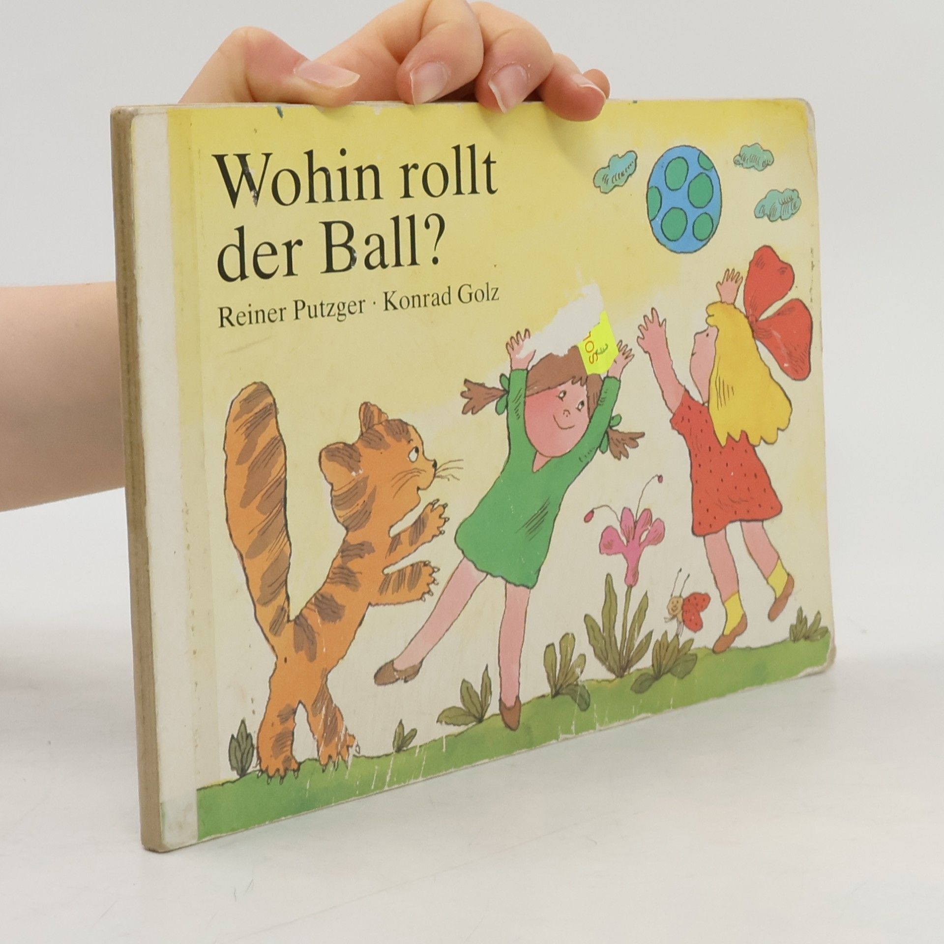Reiner Putzger Wohin rollt der Ball?