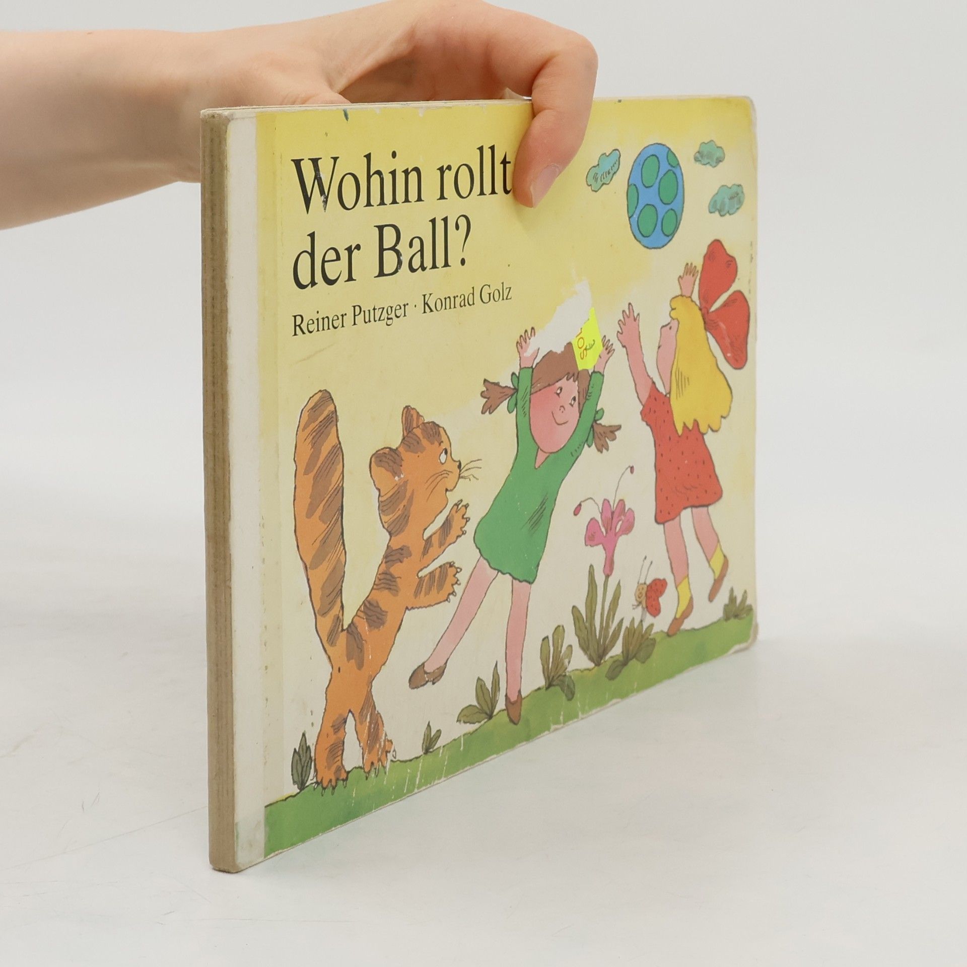 Reiner Putzger Wohin rollt der Ball?