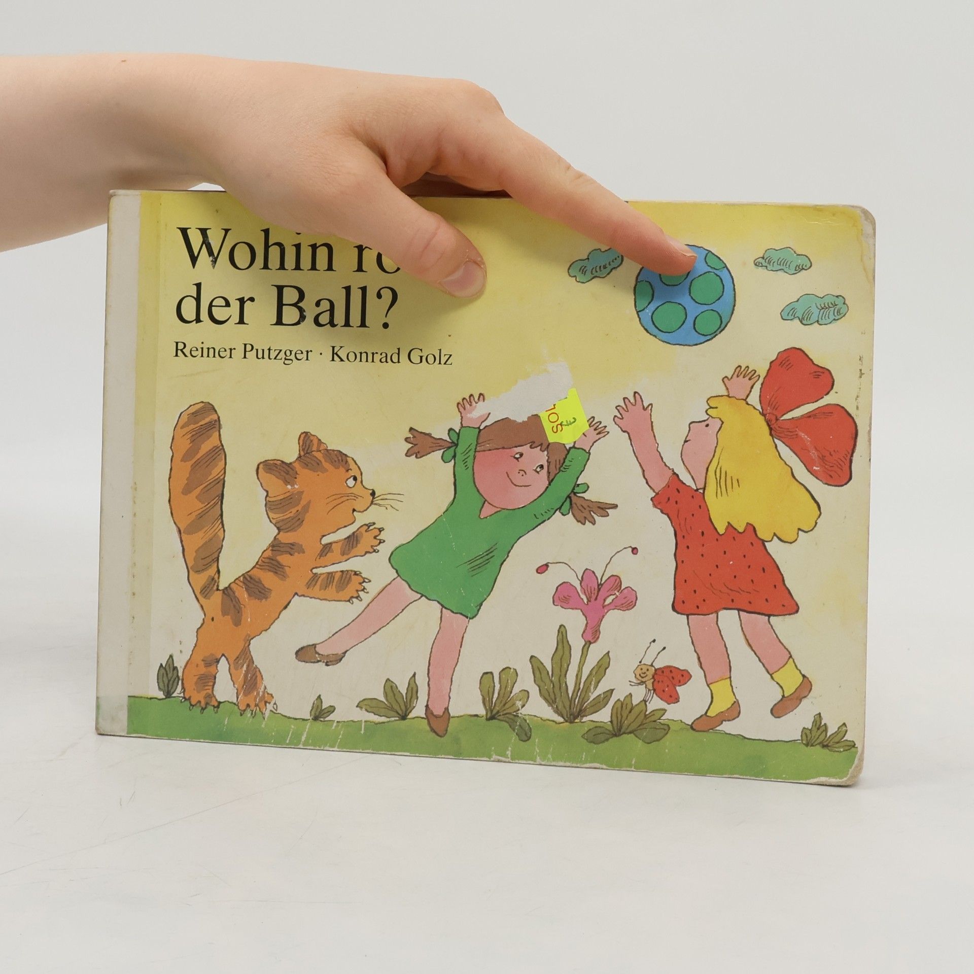Reiner Putzger Wohin rollt der Ball?