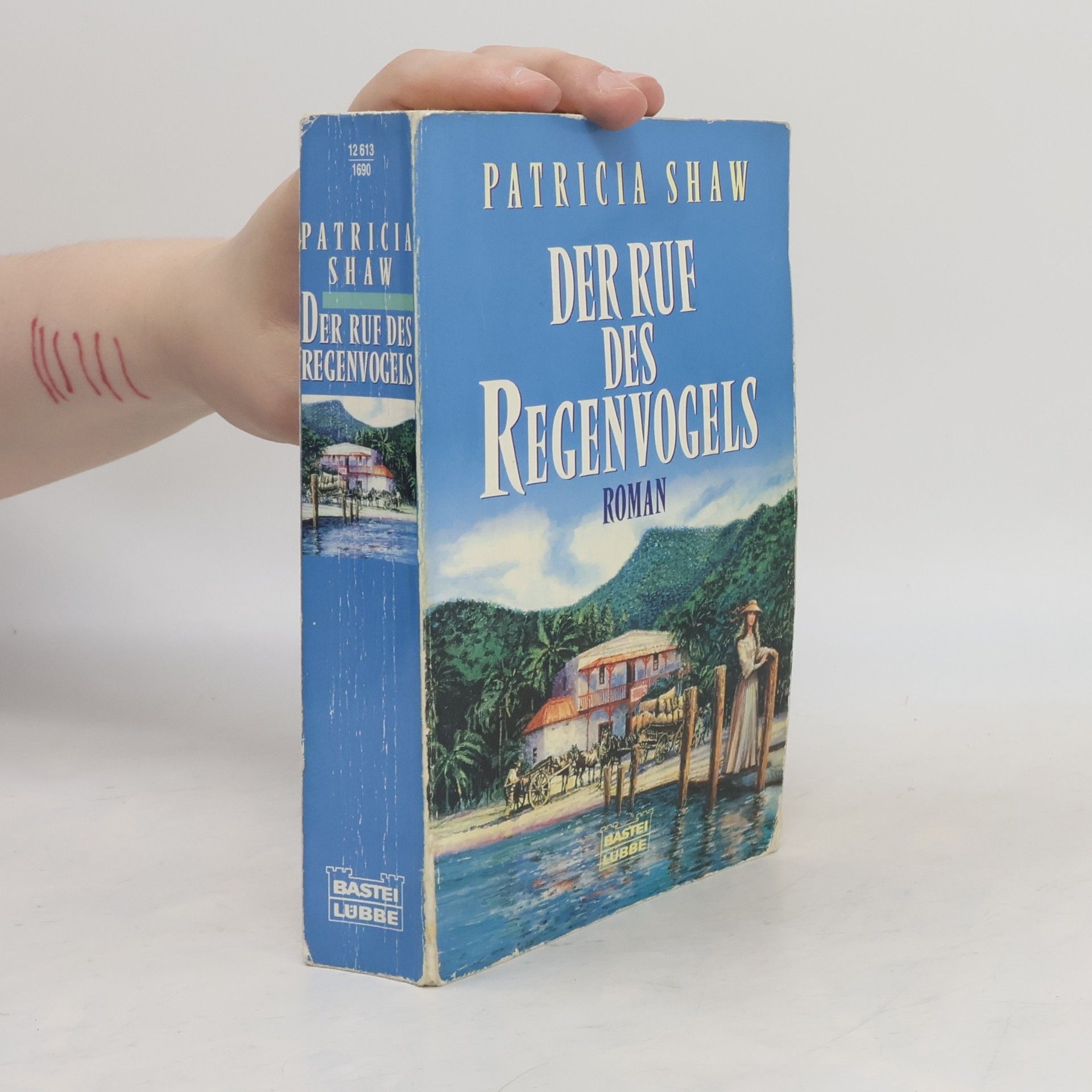 Patricia Shaw Der Ruf des Regenvogels