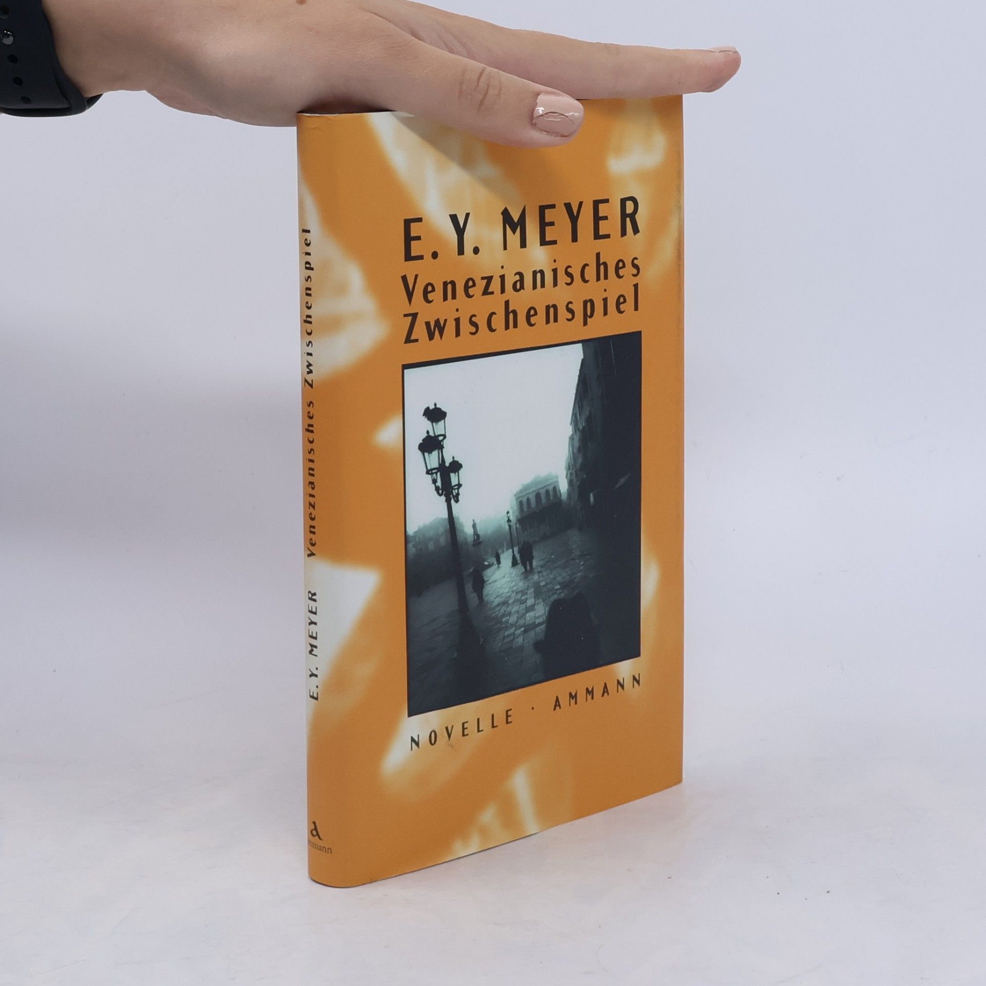 E. Y. Meyer Venezianisches Zwischenspiel