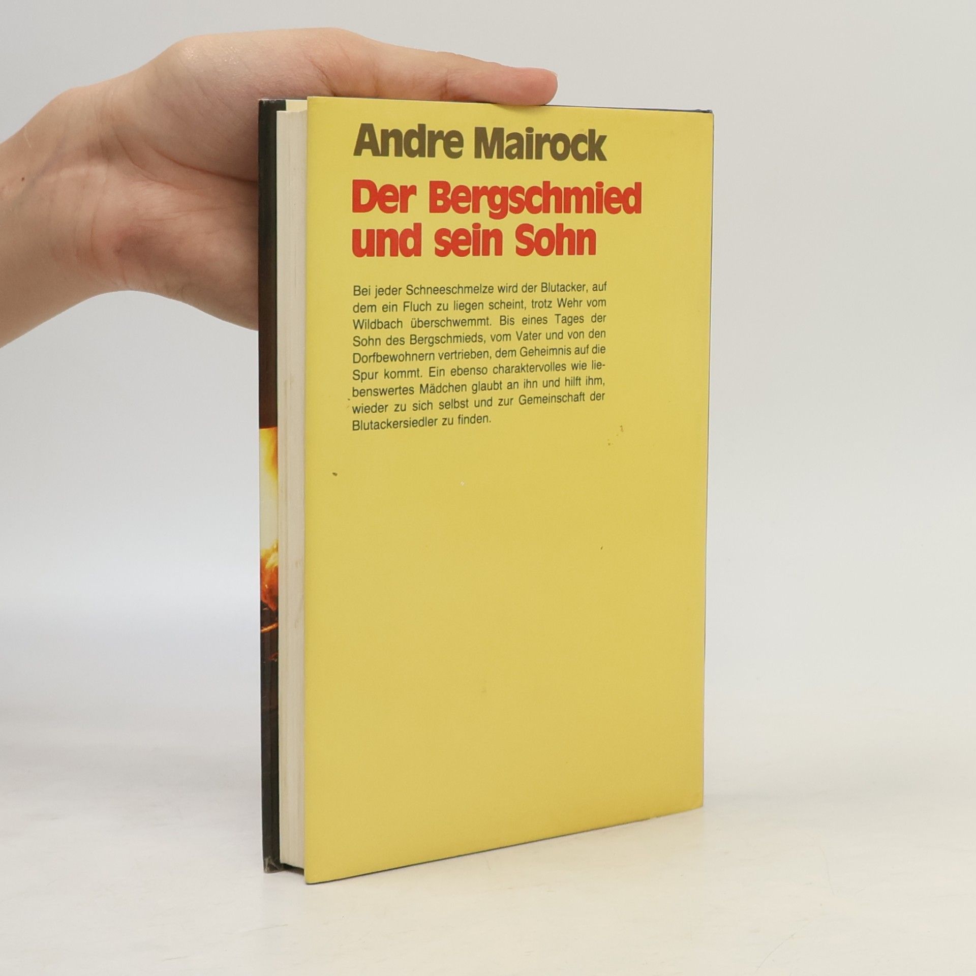 André Mairock Der Bergschmied und sein Sohn