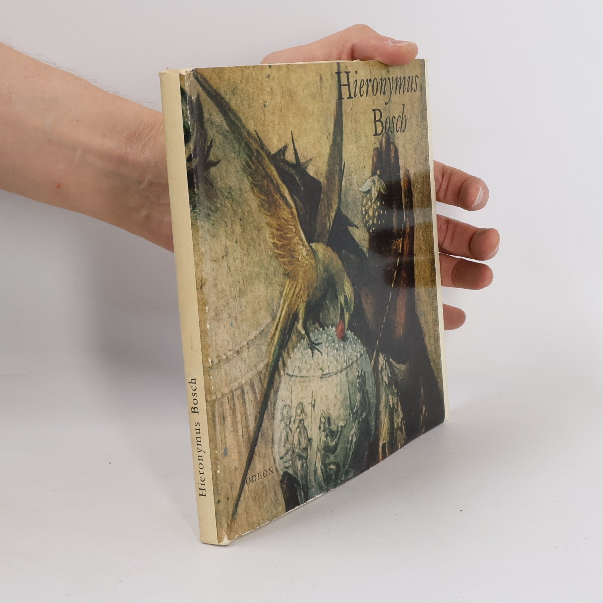 Hana Volavková Hieronymus Bosch