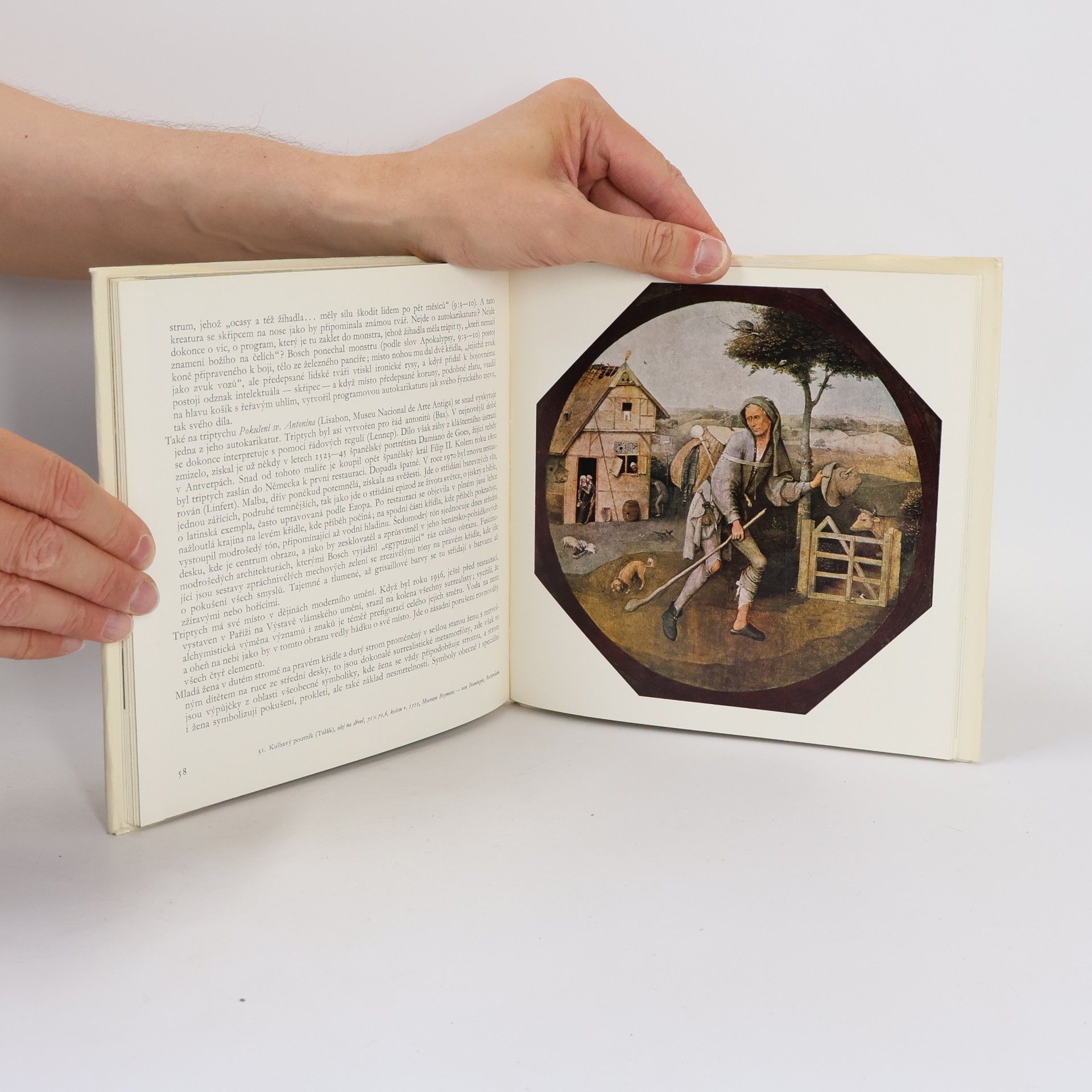 Hana Volavková Hieronymus Bosch
