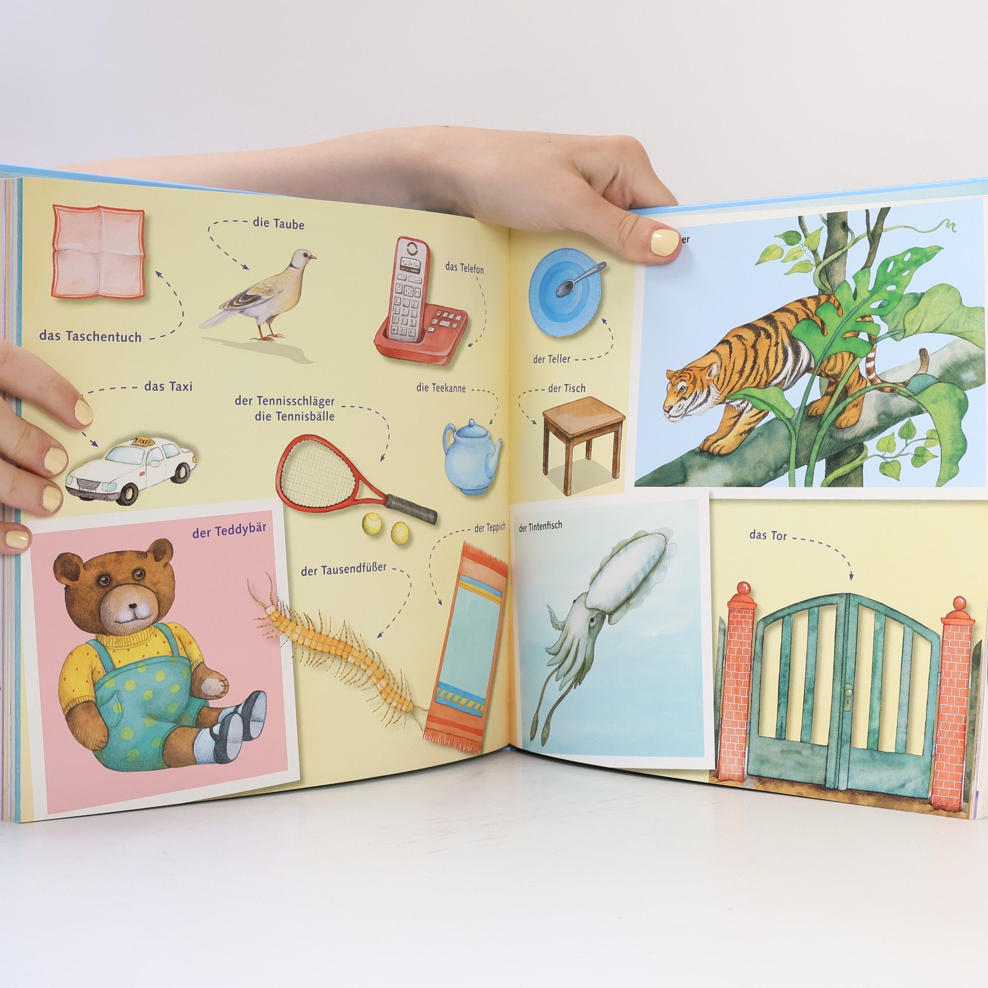 Autorenkollektiv Mein erster Kinder Brockhaus