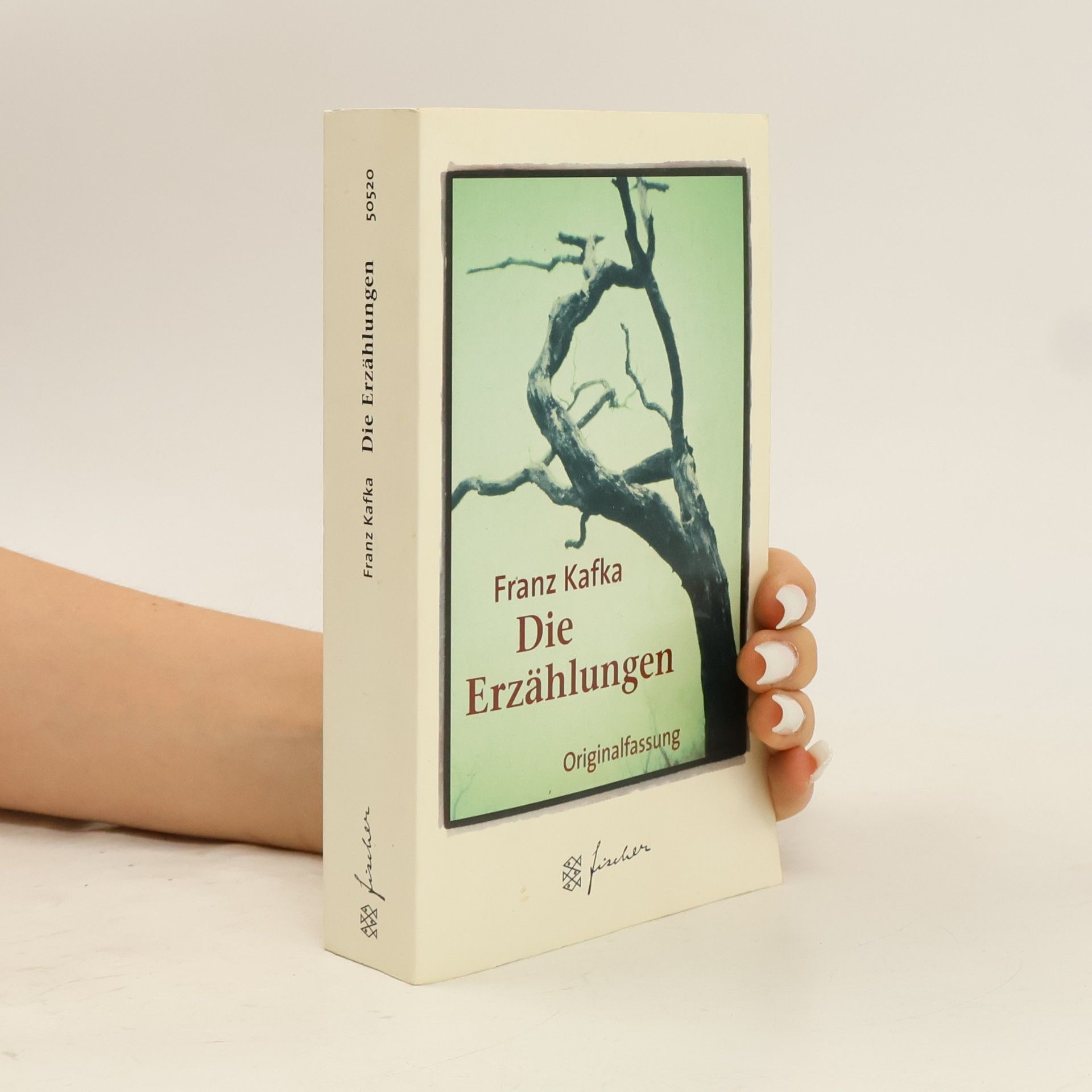Franz Kafka Die Erzählungen