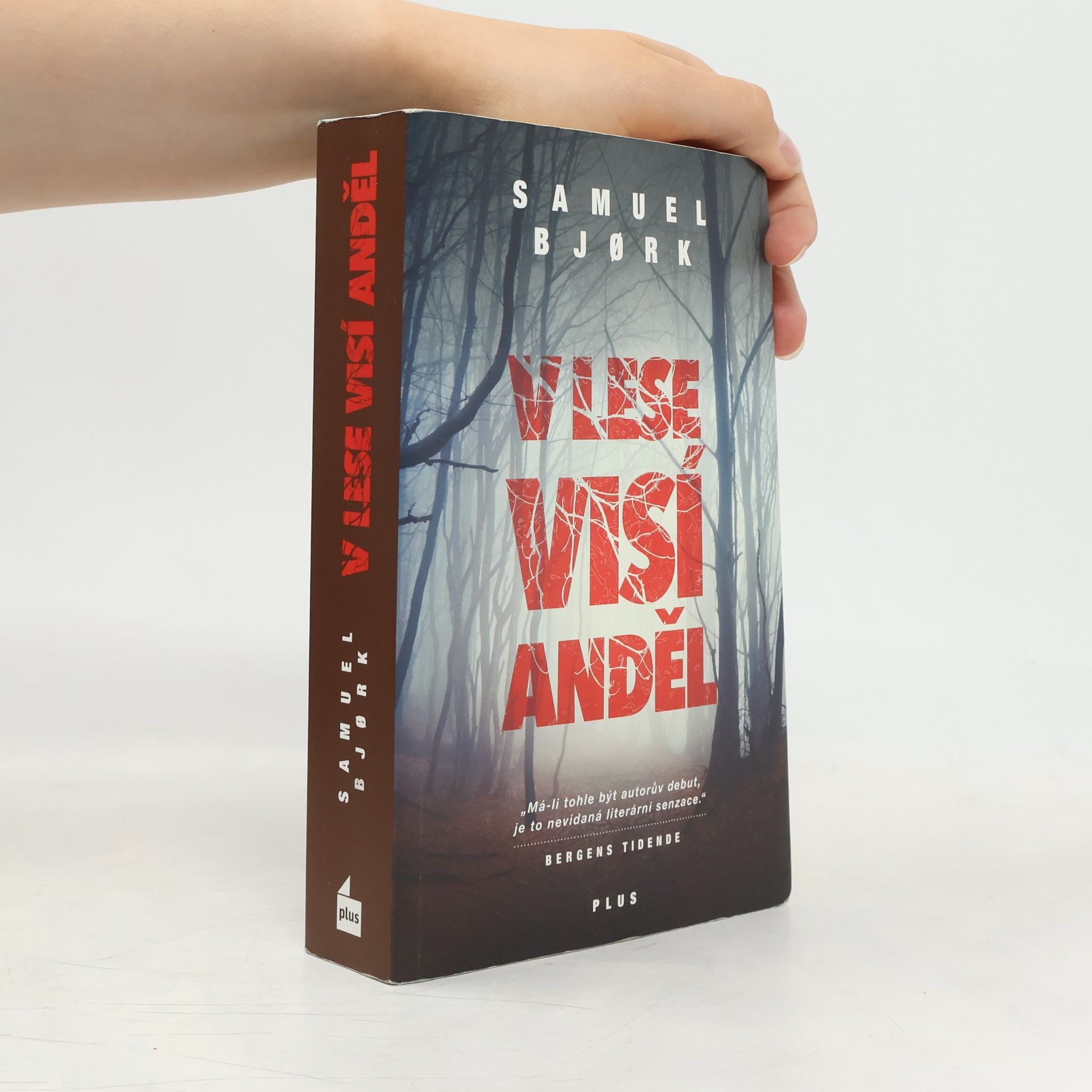 Samuel Bjork V lese visí anděl
