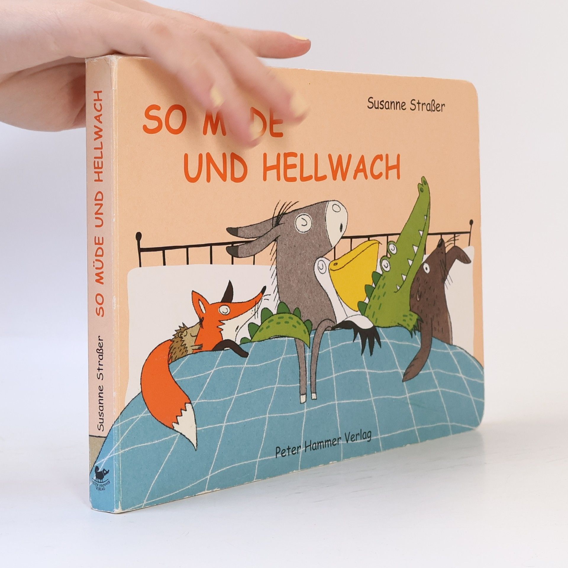 Susanne Straßer So müde und hellwach